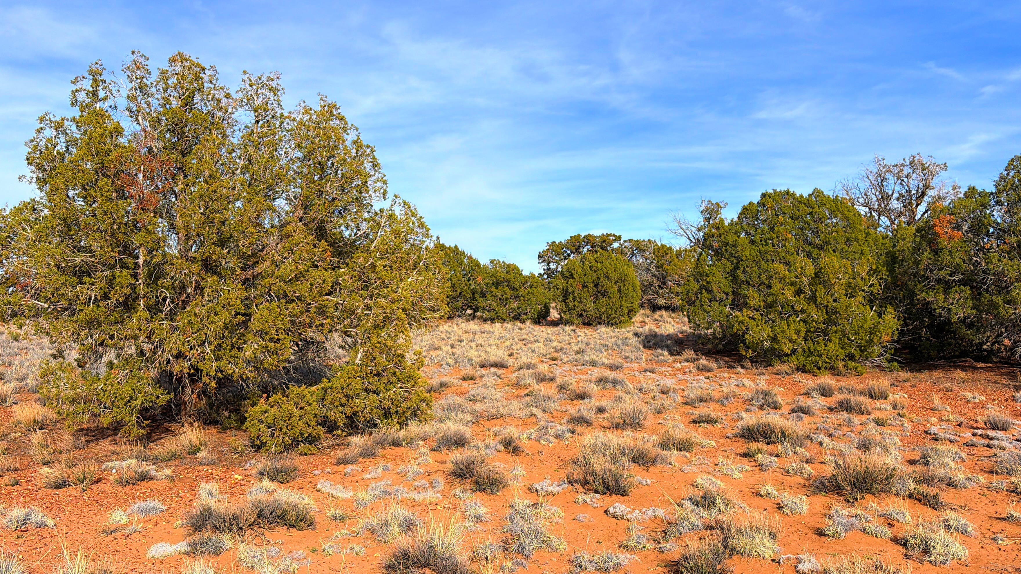 Snowflake AZ — 1.2 acres with financing available photo 7