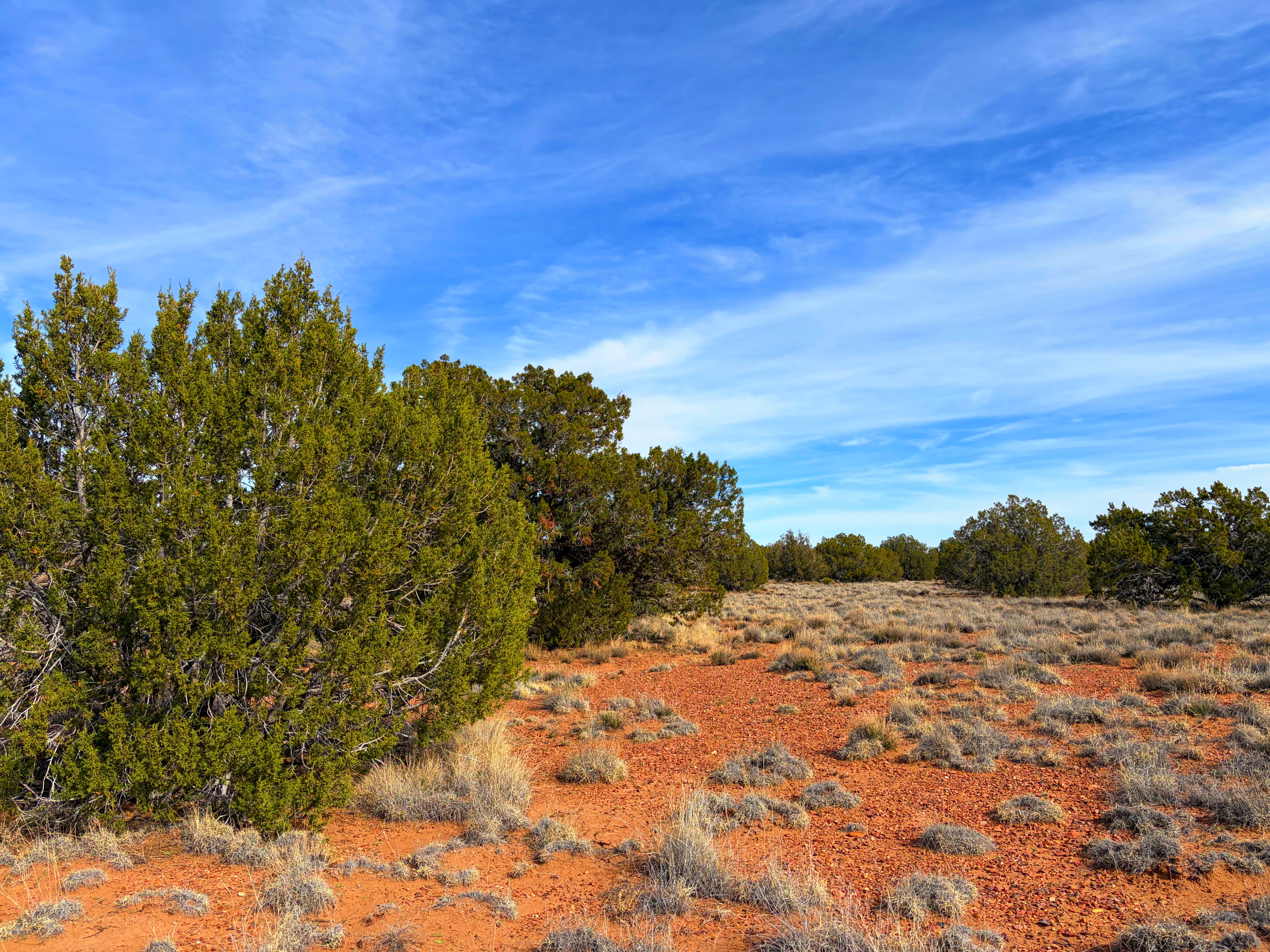 Snowflake AZ — 1.2 acres with financing available photo 20