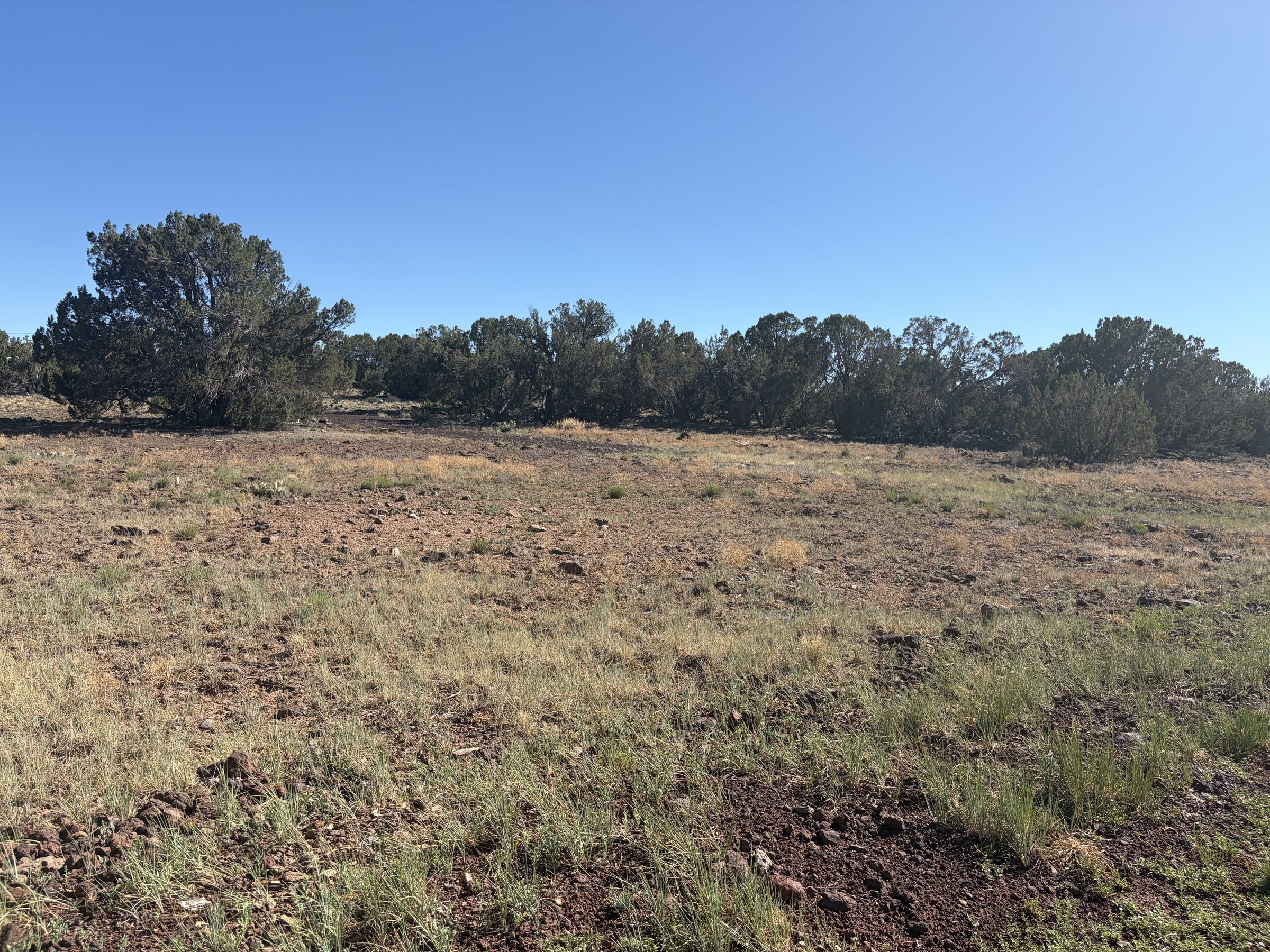 1.2 Acres in Show Low | White Mountains Getaway, Show Low AZ — photo 19