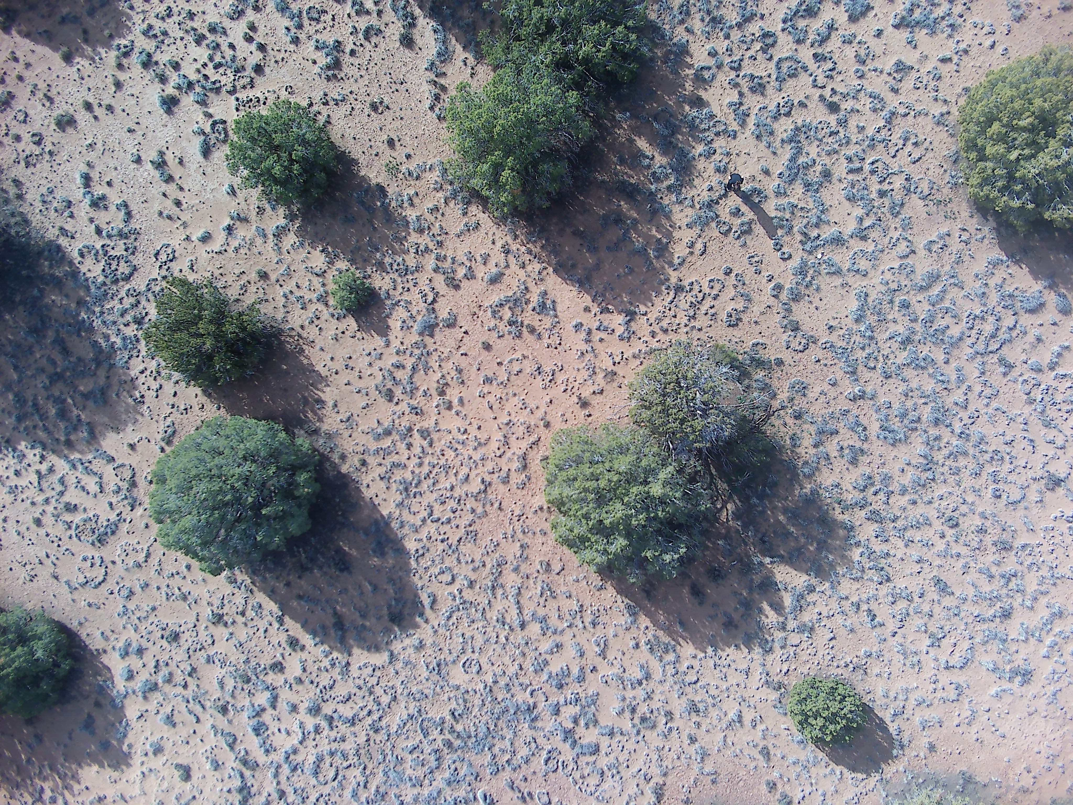 Snowflake AZ — 1.2 acres with financing available photo 6
