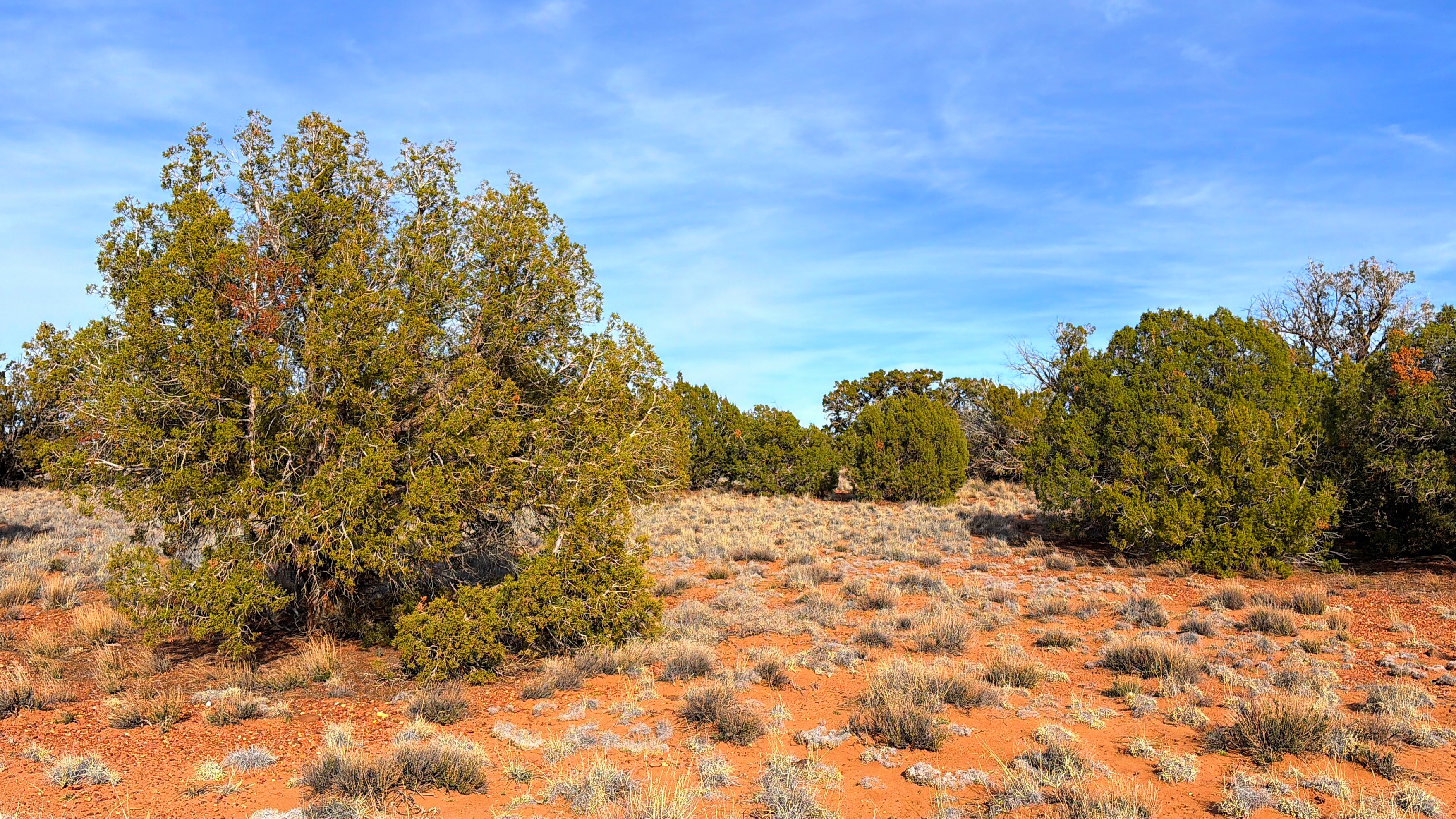 Snowflake AZ — 1.2 acres with financing available photo 6