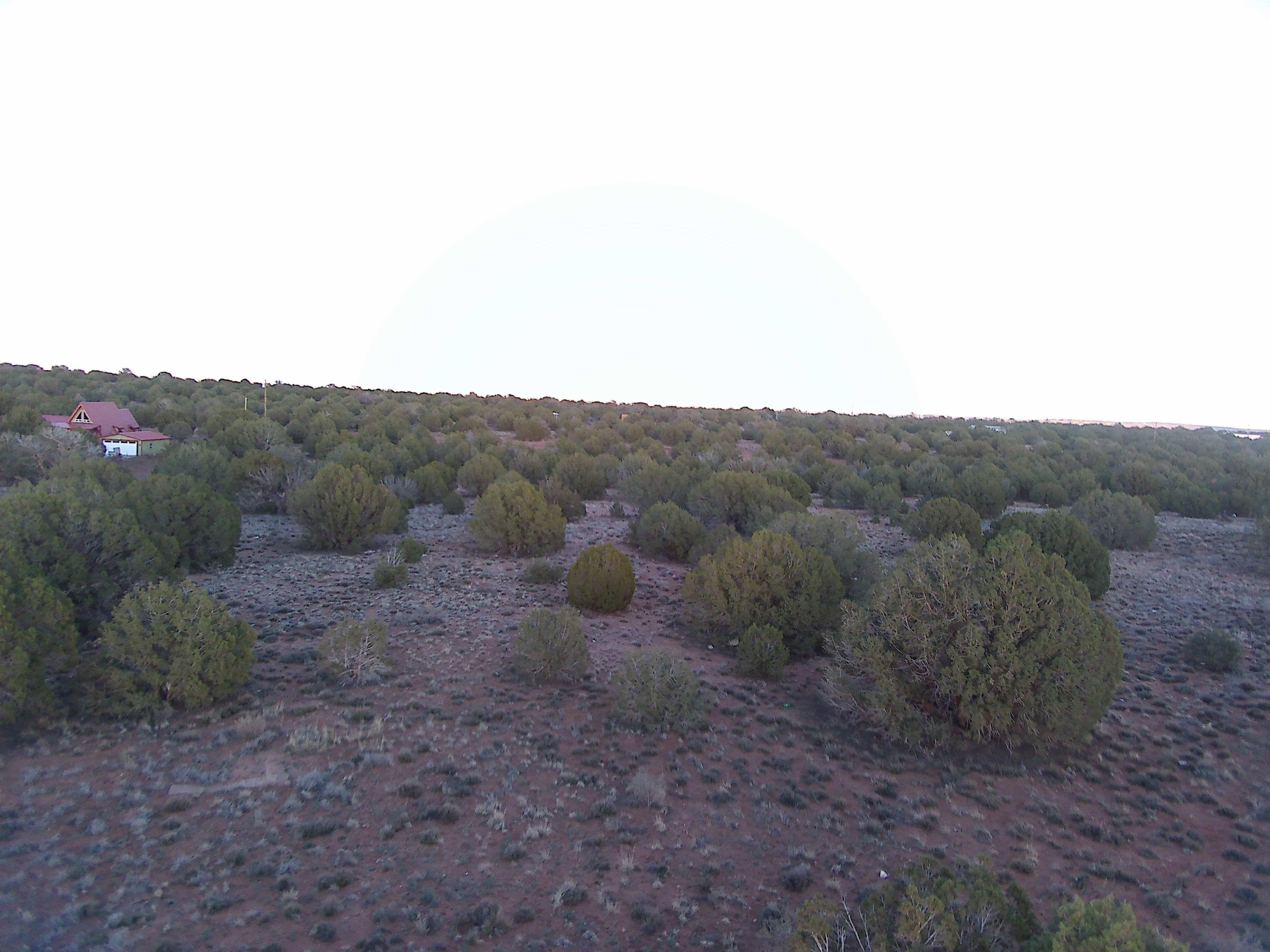 Snowflake AZ — 1.12 acres with financing available photo 7