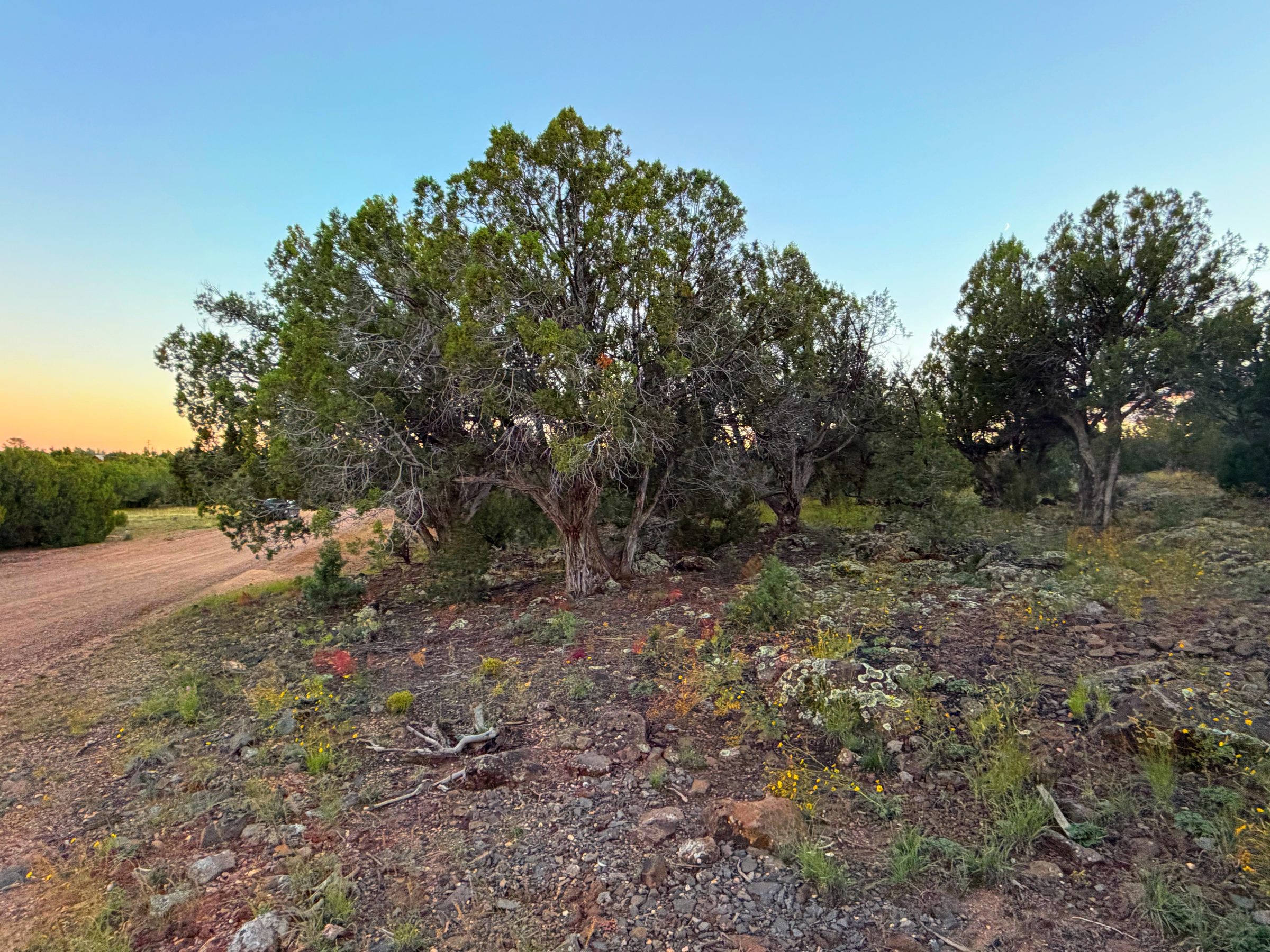 8332 Skyline Dr, Show Low AZ — photo 17