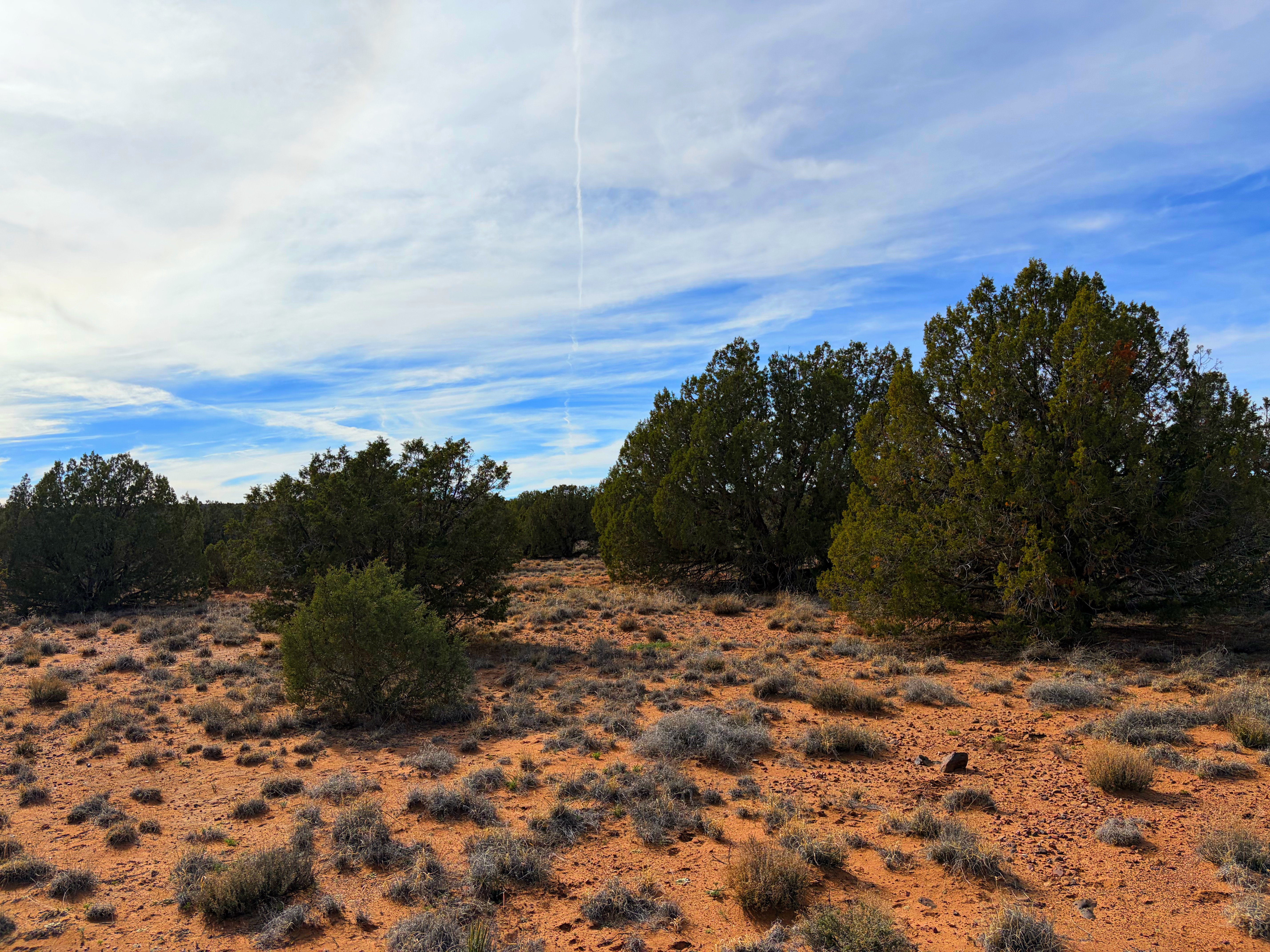 Snowflake AZ — 1.2 acres with financing available photo 24