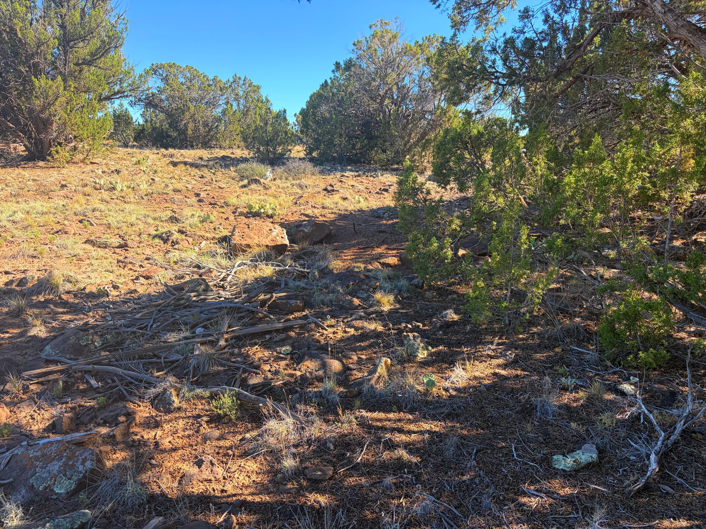1.2 Acres in Show Low | White Mountains Getaway, Show Low AZ — photo 26