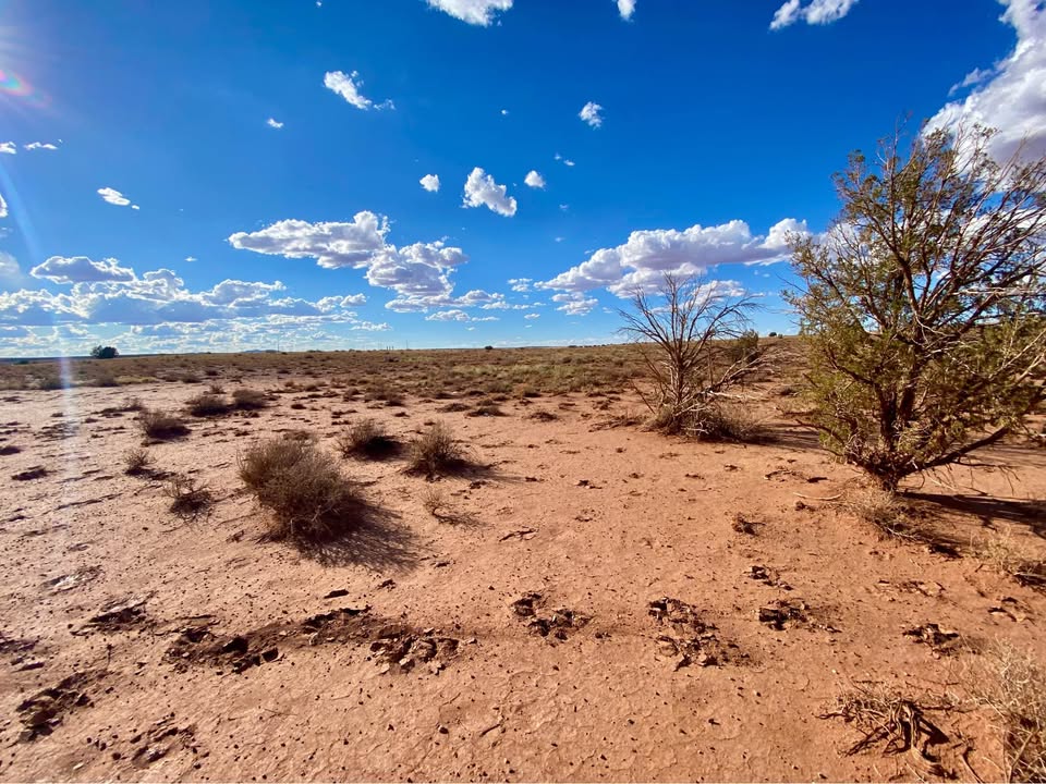 Snowflake AZ — 1.26 acres with financing available photo 6