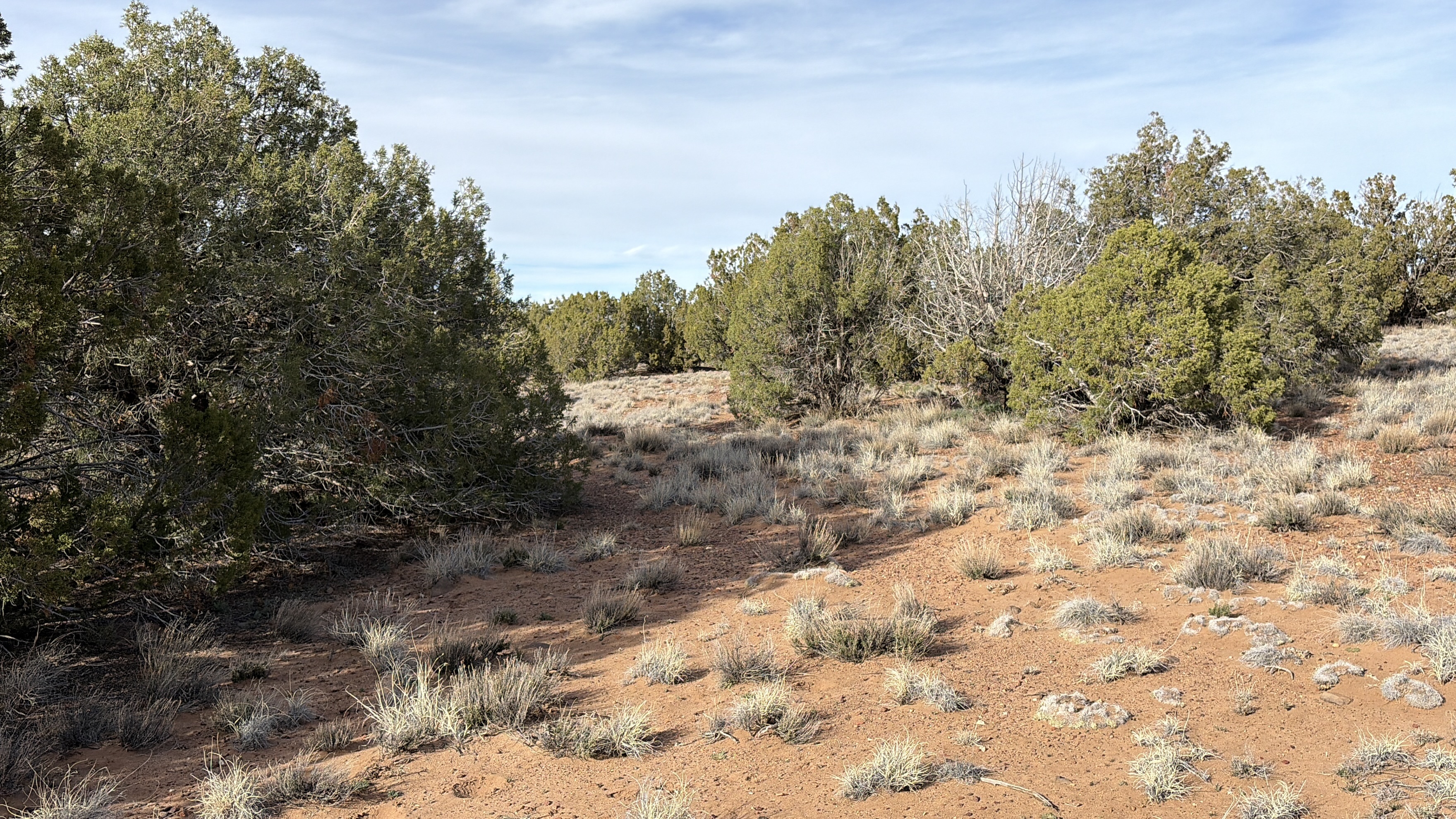 Snowflake AZ — 1.2 acres with financing available photo 10