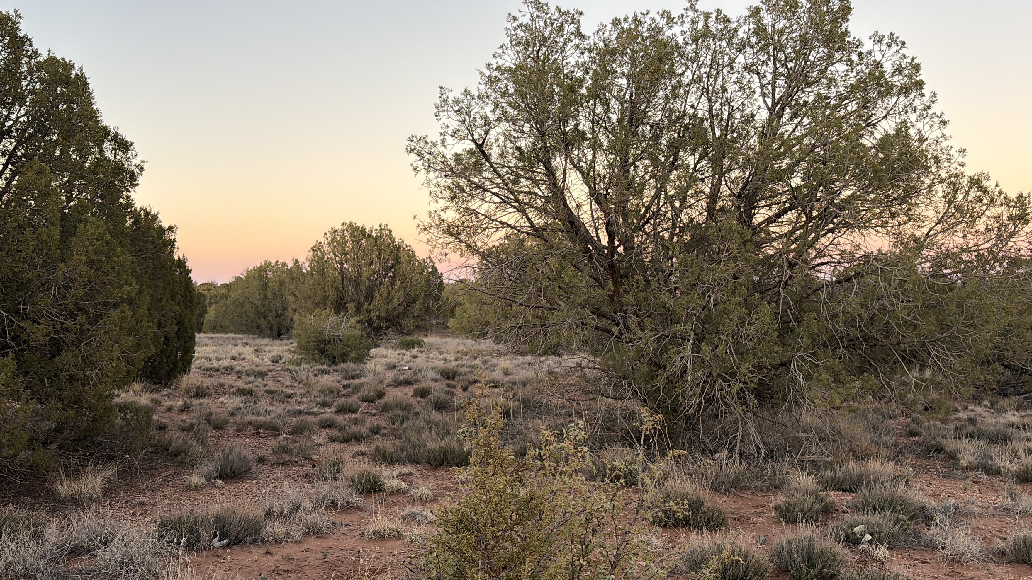 Snowflake AZ — 1.12 acres with financing available photo 24