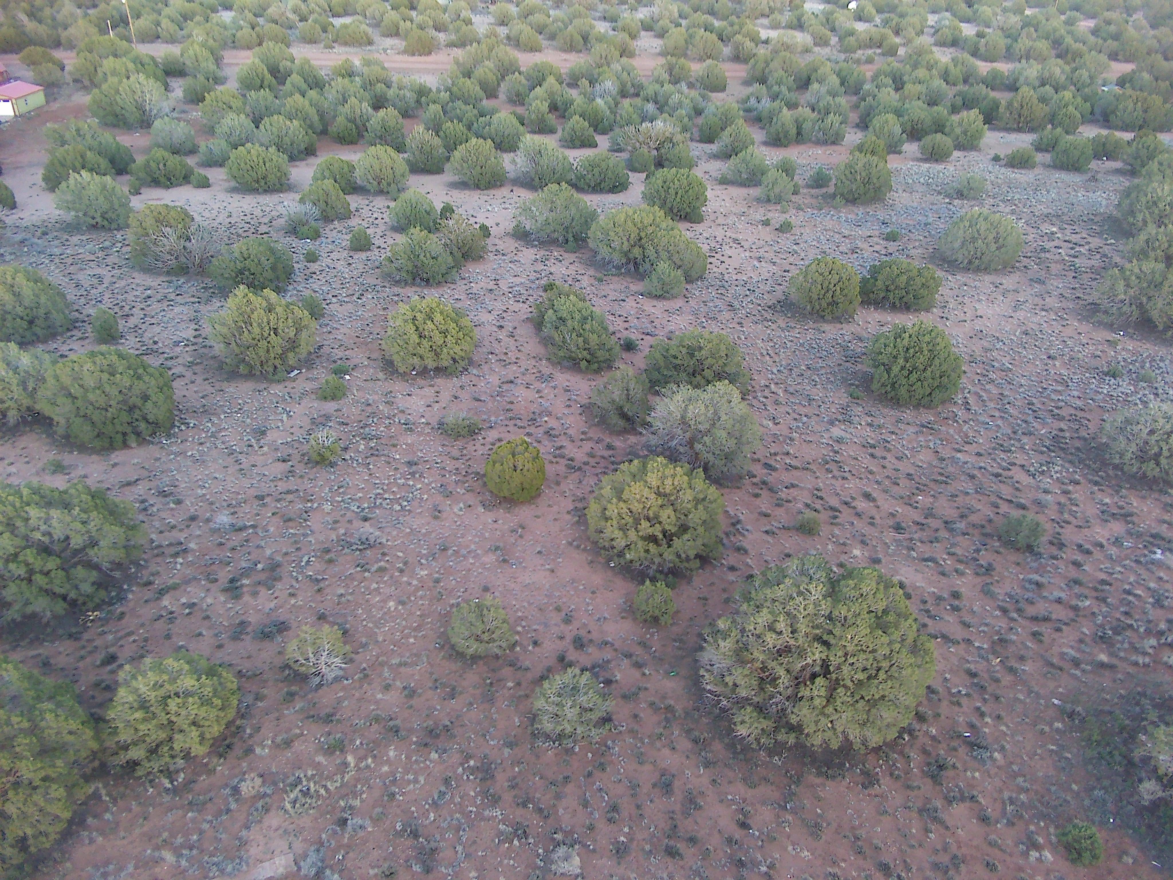 Snowflake AZ — 1.12 acres with financing available photo 4