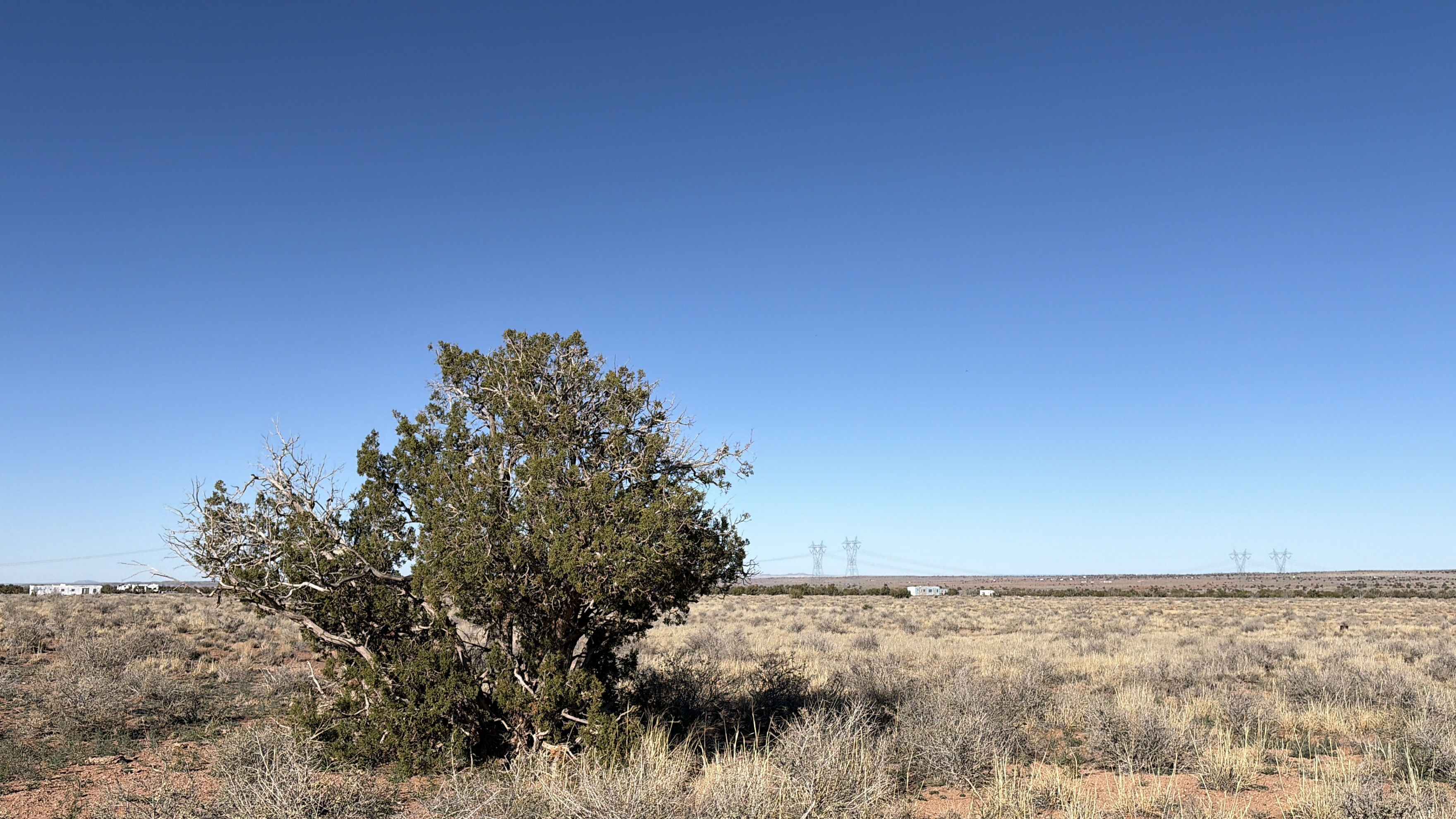Snowflake AZ — 1.3 acres with financing available photo 41