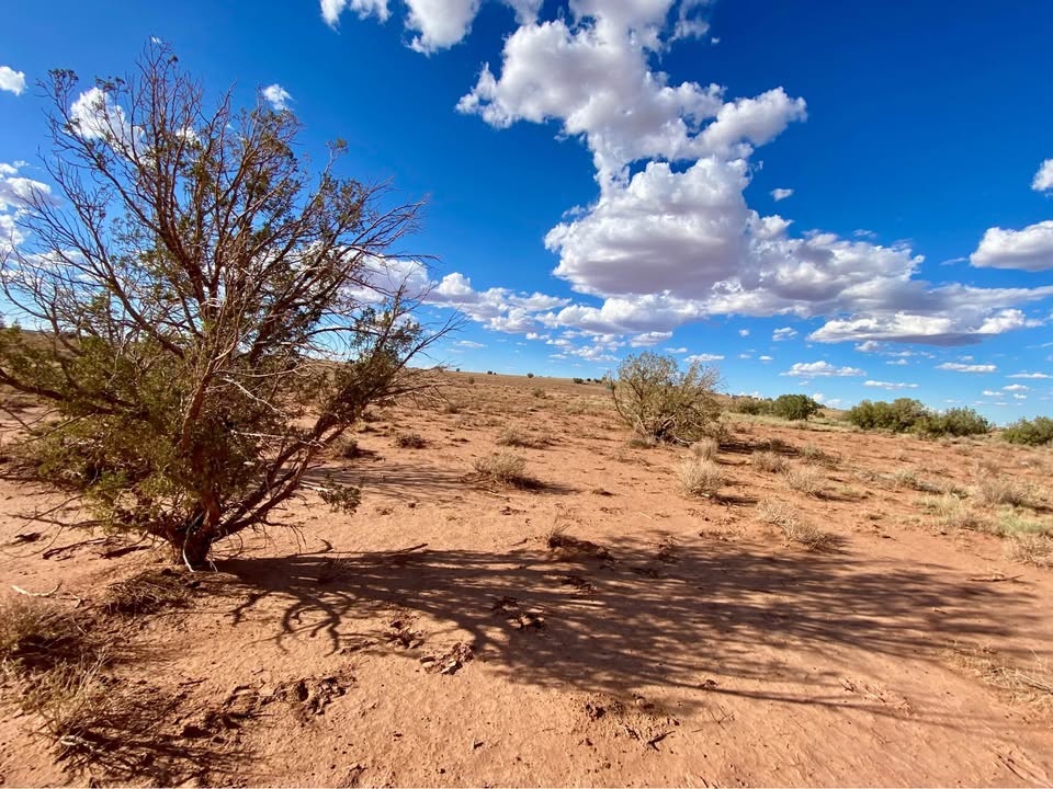 Snowflake AZ — 1.26 acres with financing available photo 5