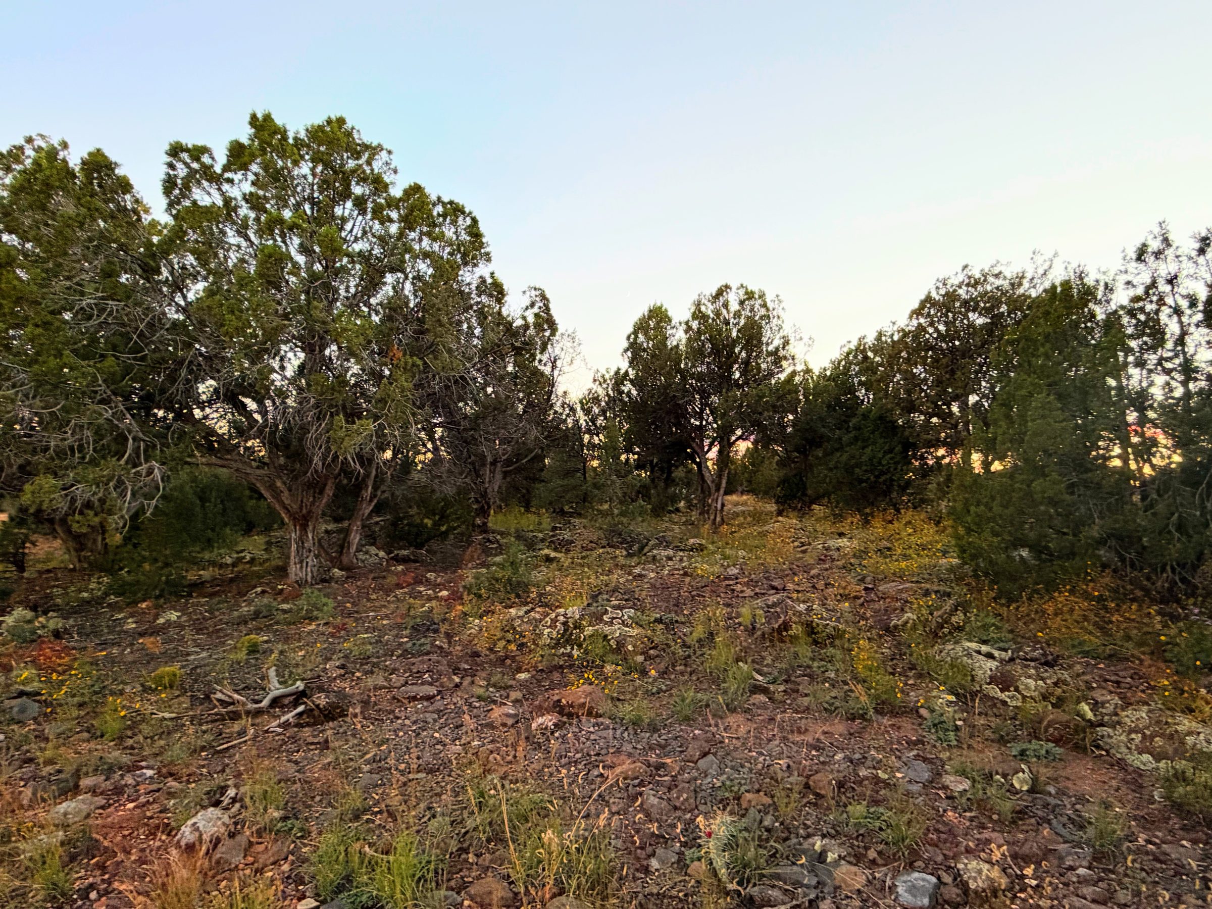 8332 Skyline Dr, Show Low AZ — photo 16
