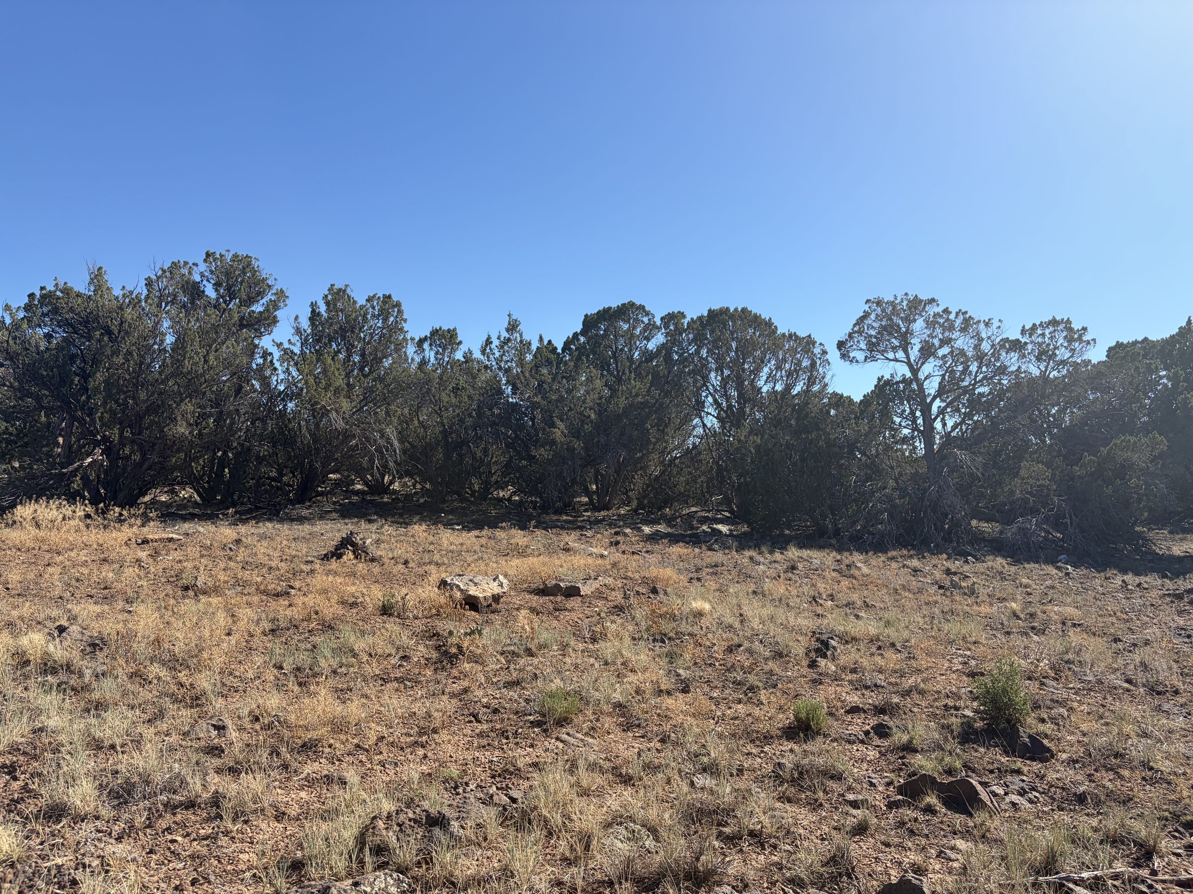 1.2 Acres in Show Low | White Mountains Getaway, Show Low AZ — photo 23