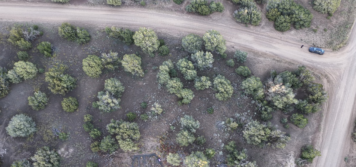 8332 Skyline Dr, Show Low AZ — photo 24