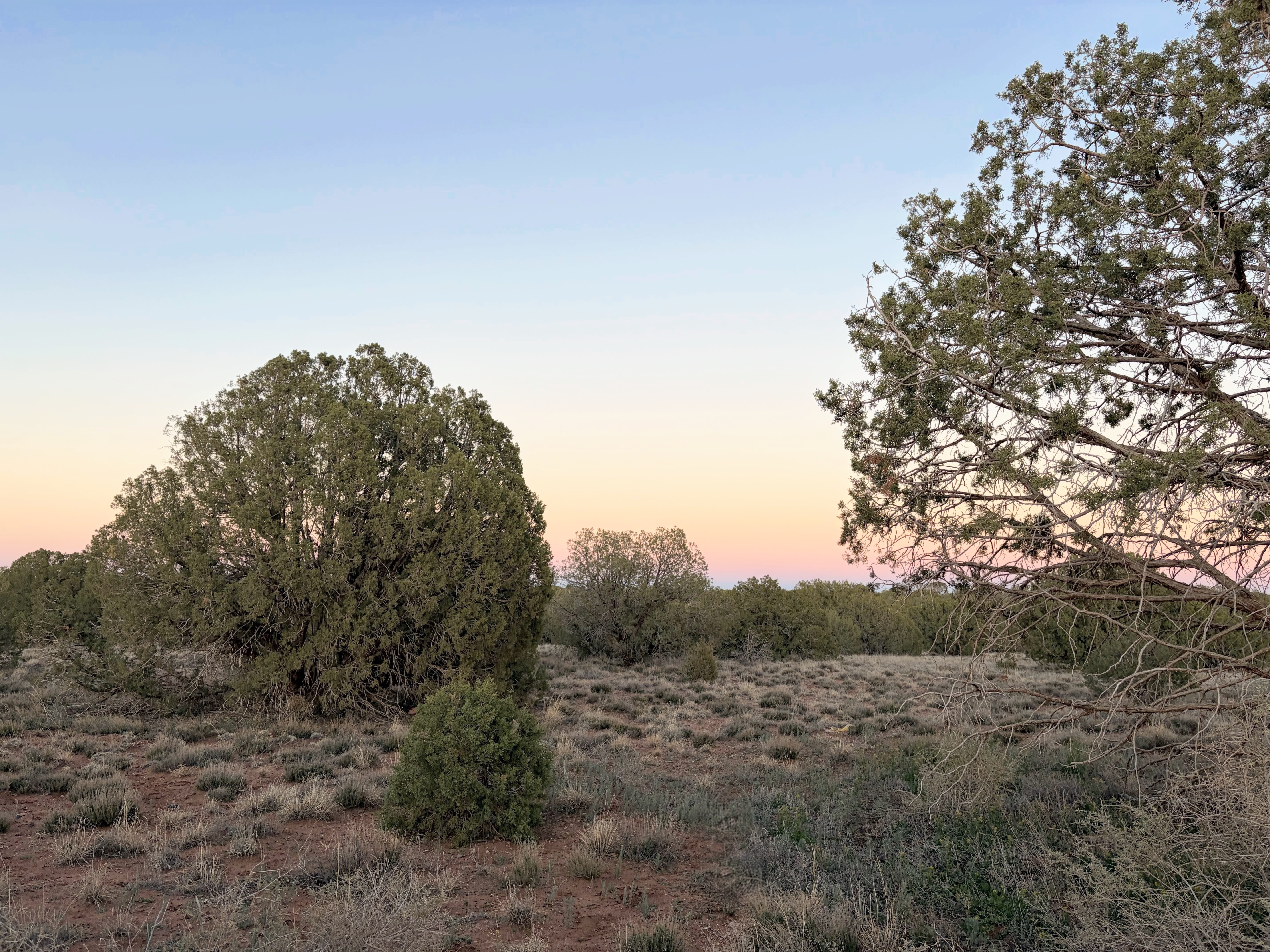 Snowflake AZ — 1.12 acres with financing available photo 27