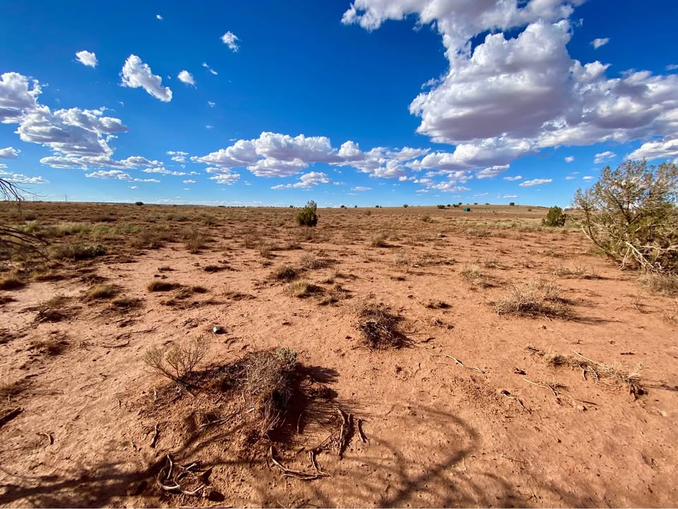 Snowflake AZ — 1.26 acres with financing available photo 14