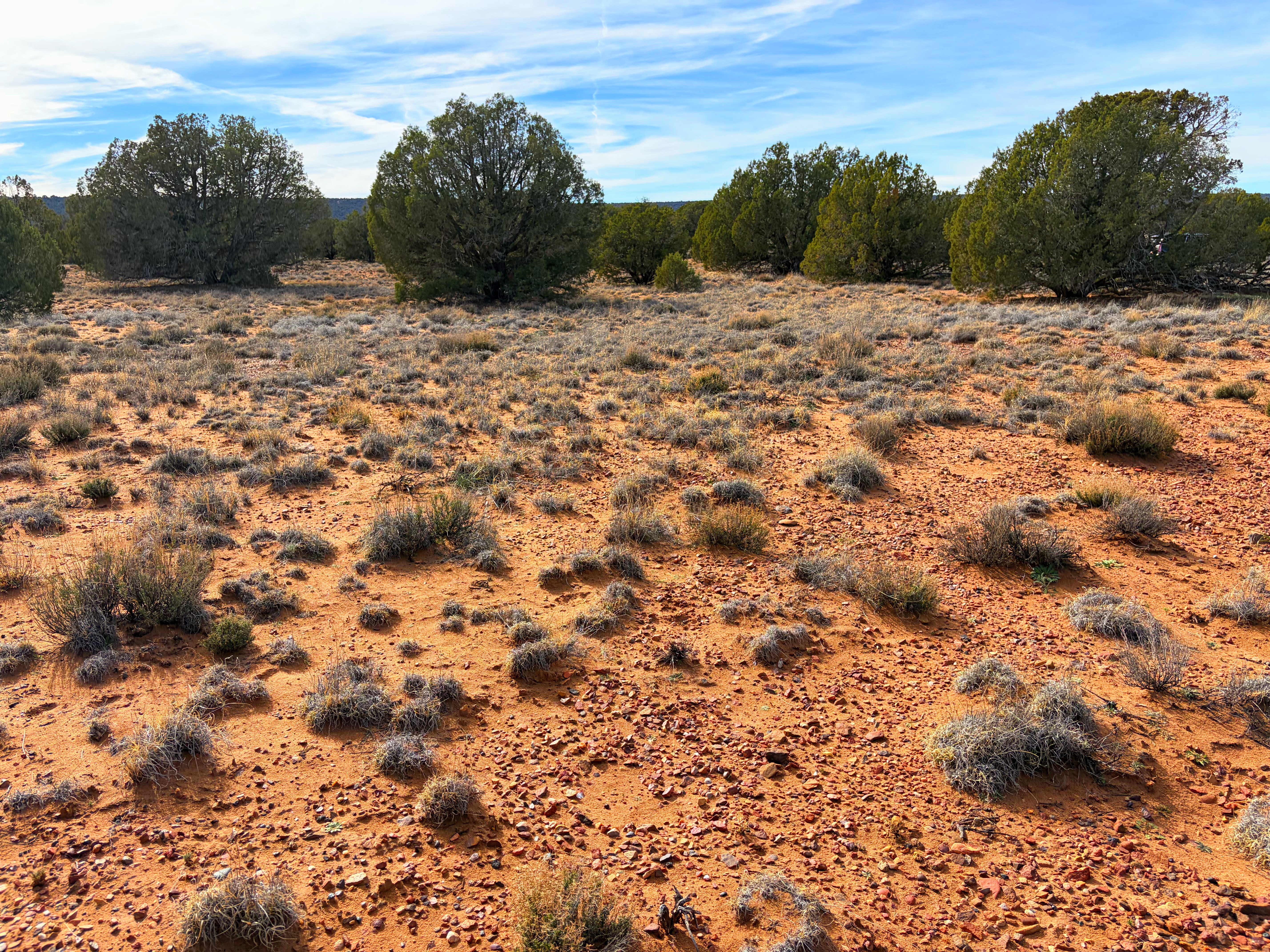 Snowflake AZ — 1.2 acres with financing available photo 22