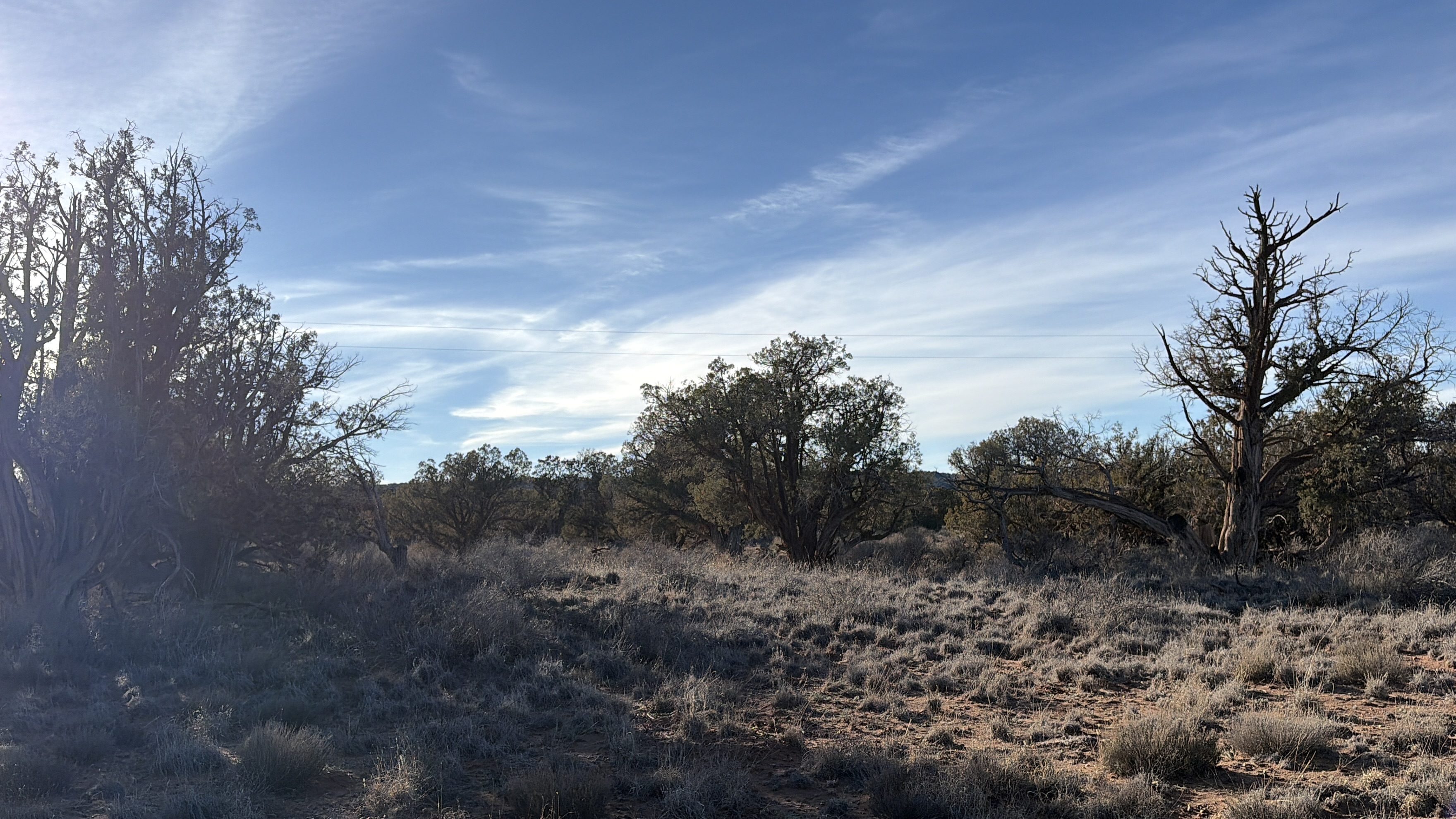 Snowflake AZ — 1.18 acres with financing available photo 10