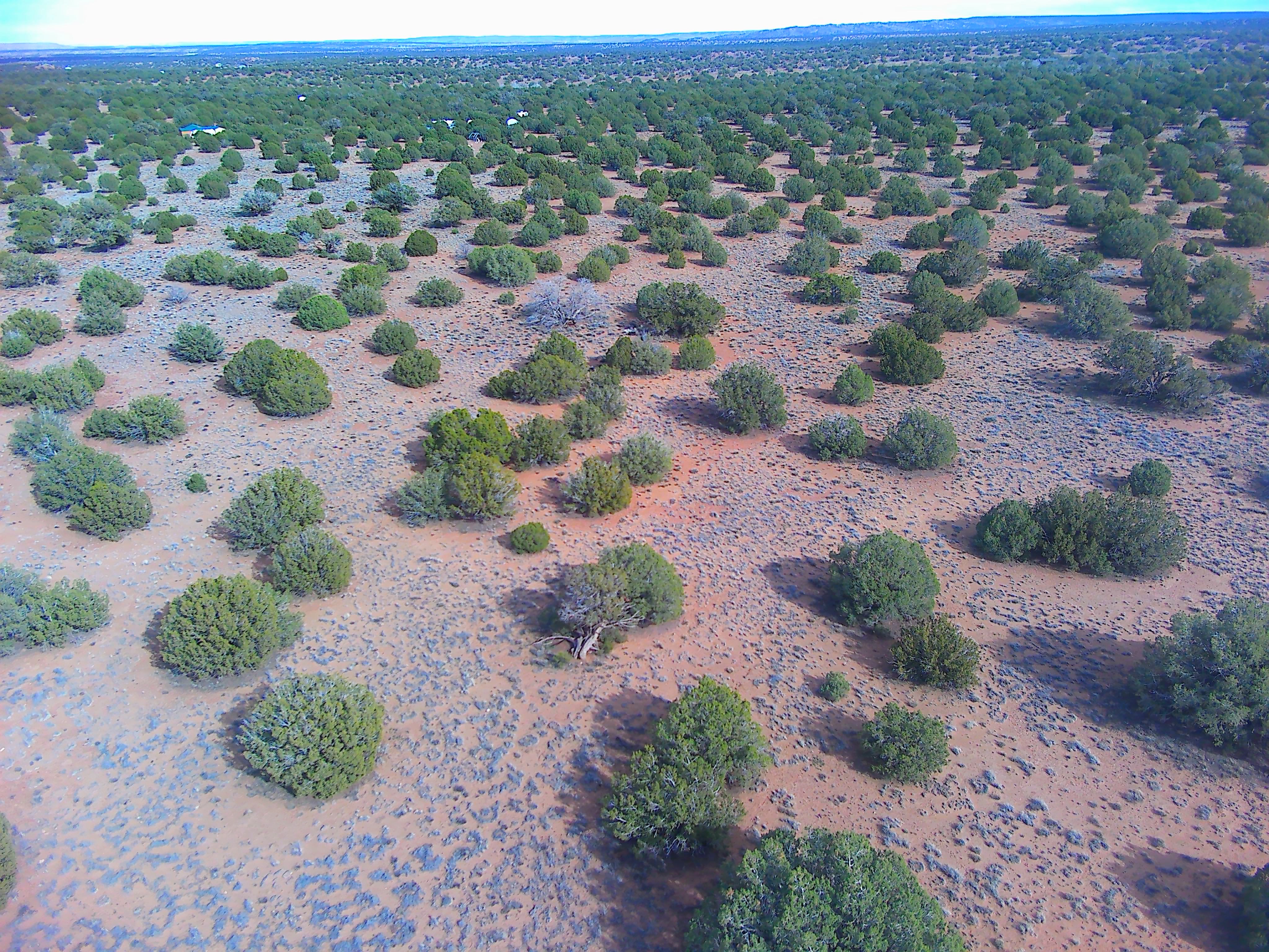 Snowflake AZ — 1.2 acres with financing available photo 3