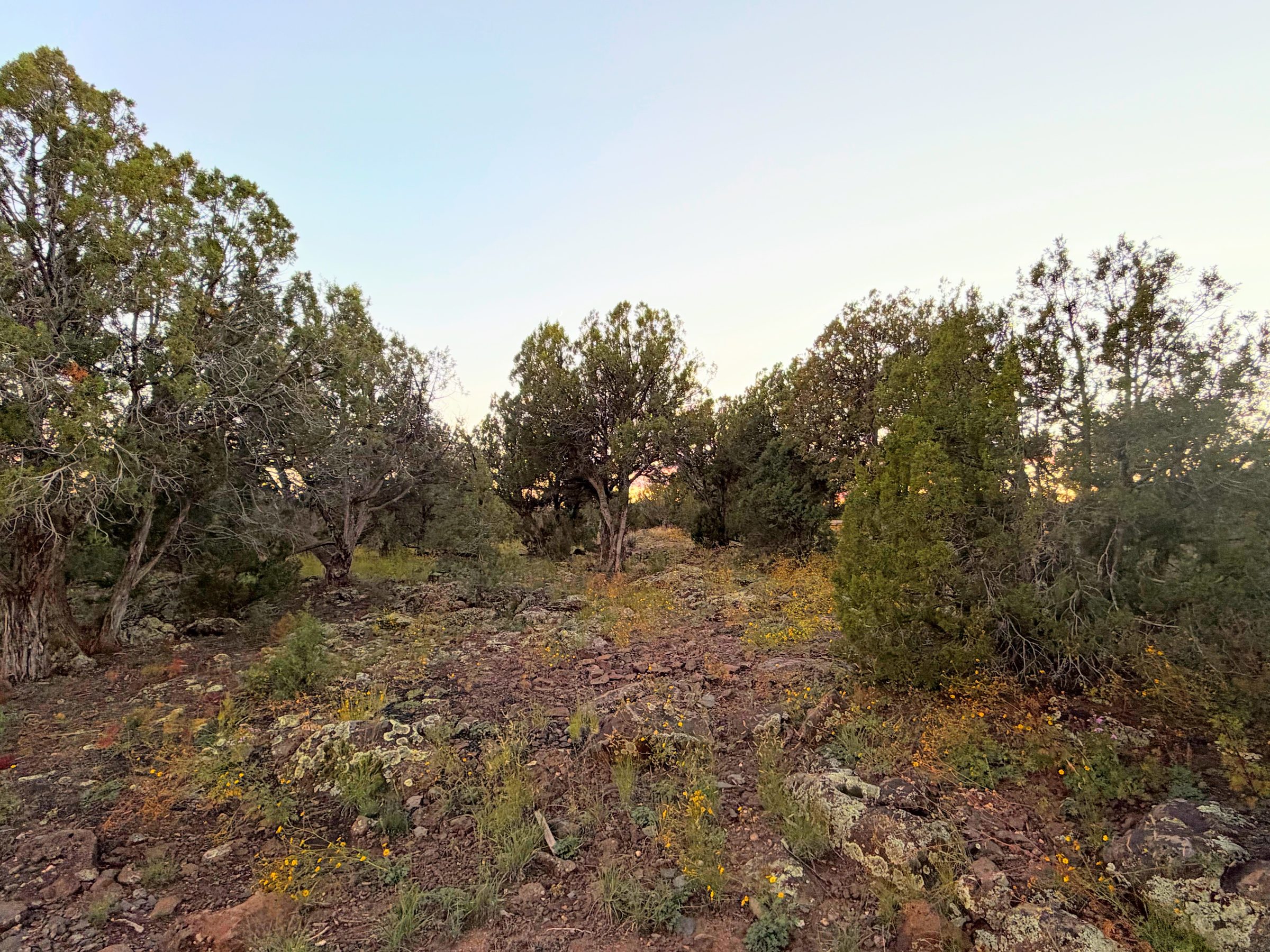 8332 Skyline Dr, Show Low AZ — photo 18