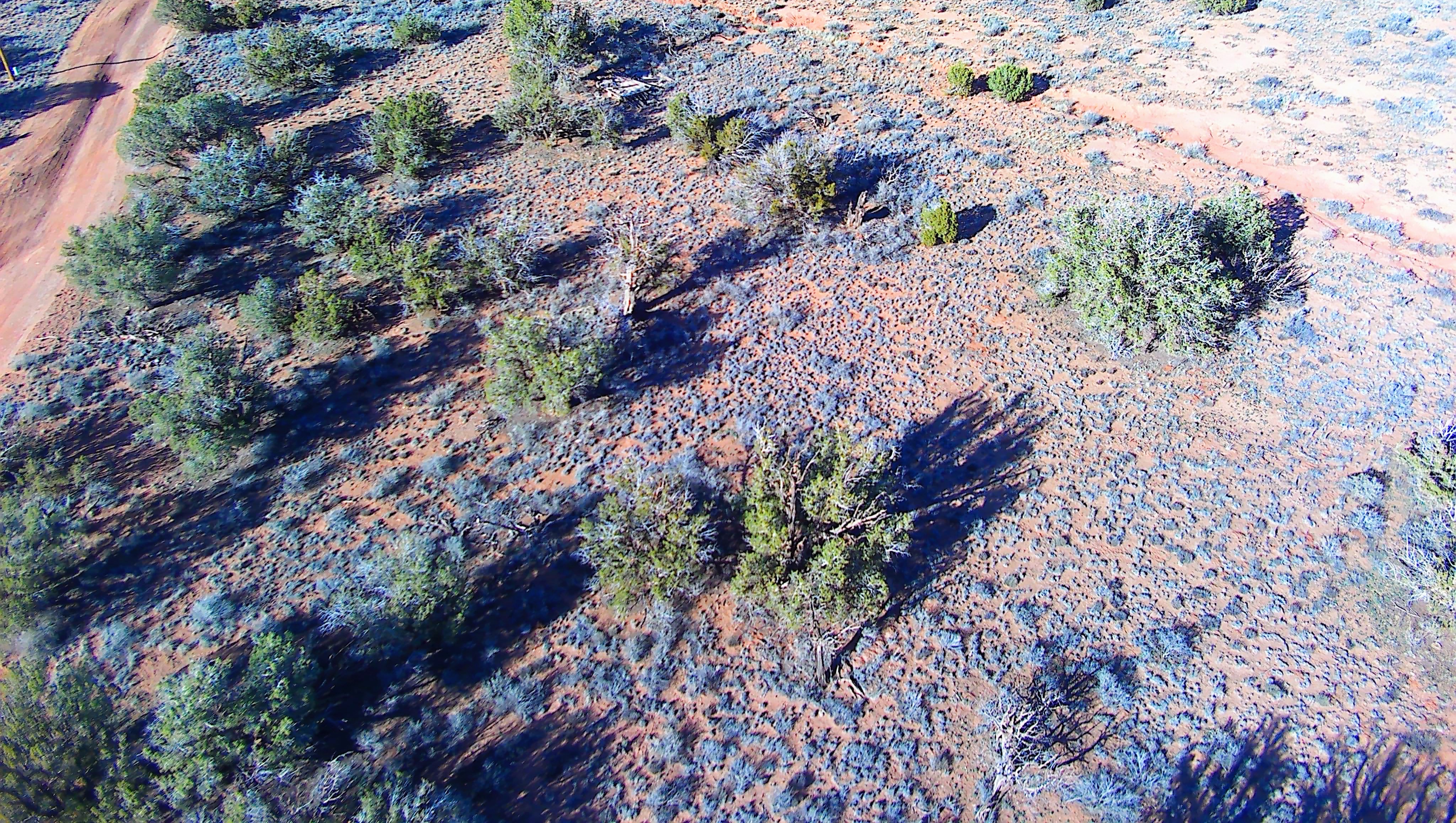 Snowflake AZ — 1.18 acres with financing available