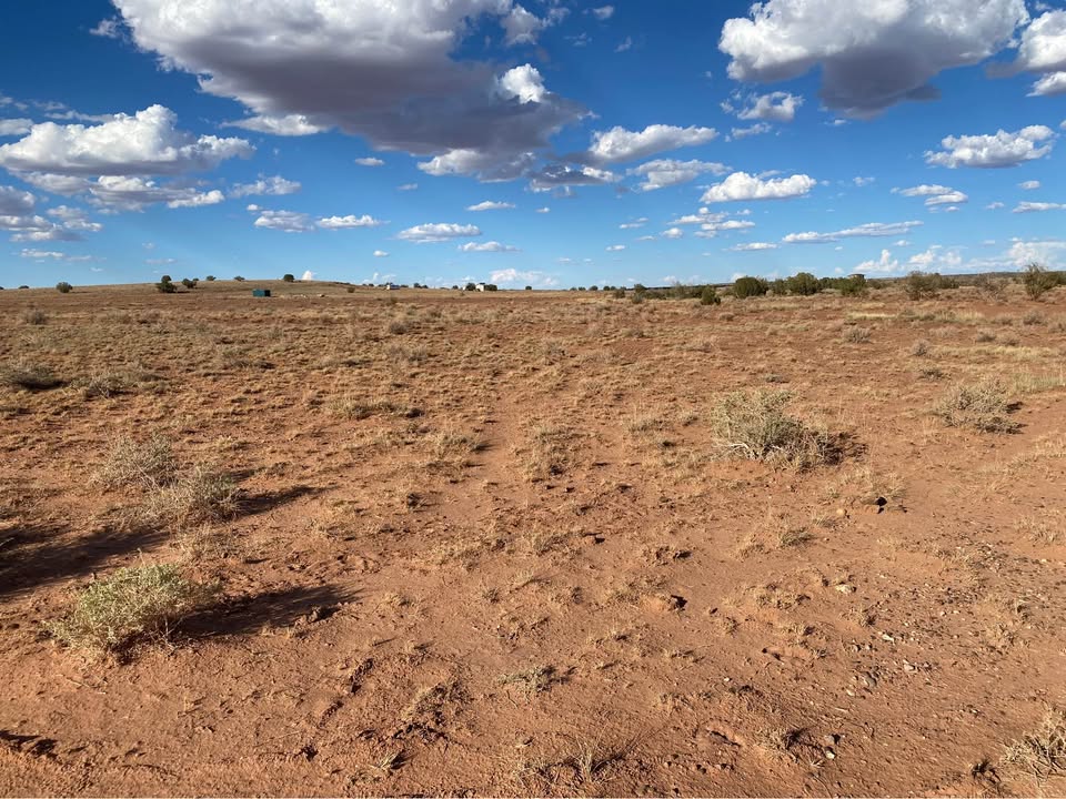 Snowflake AZ — 1.26 acres with financing available photo 11