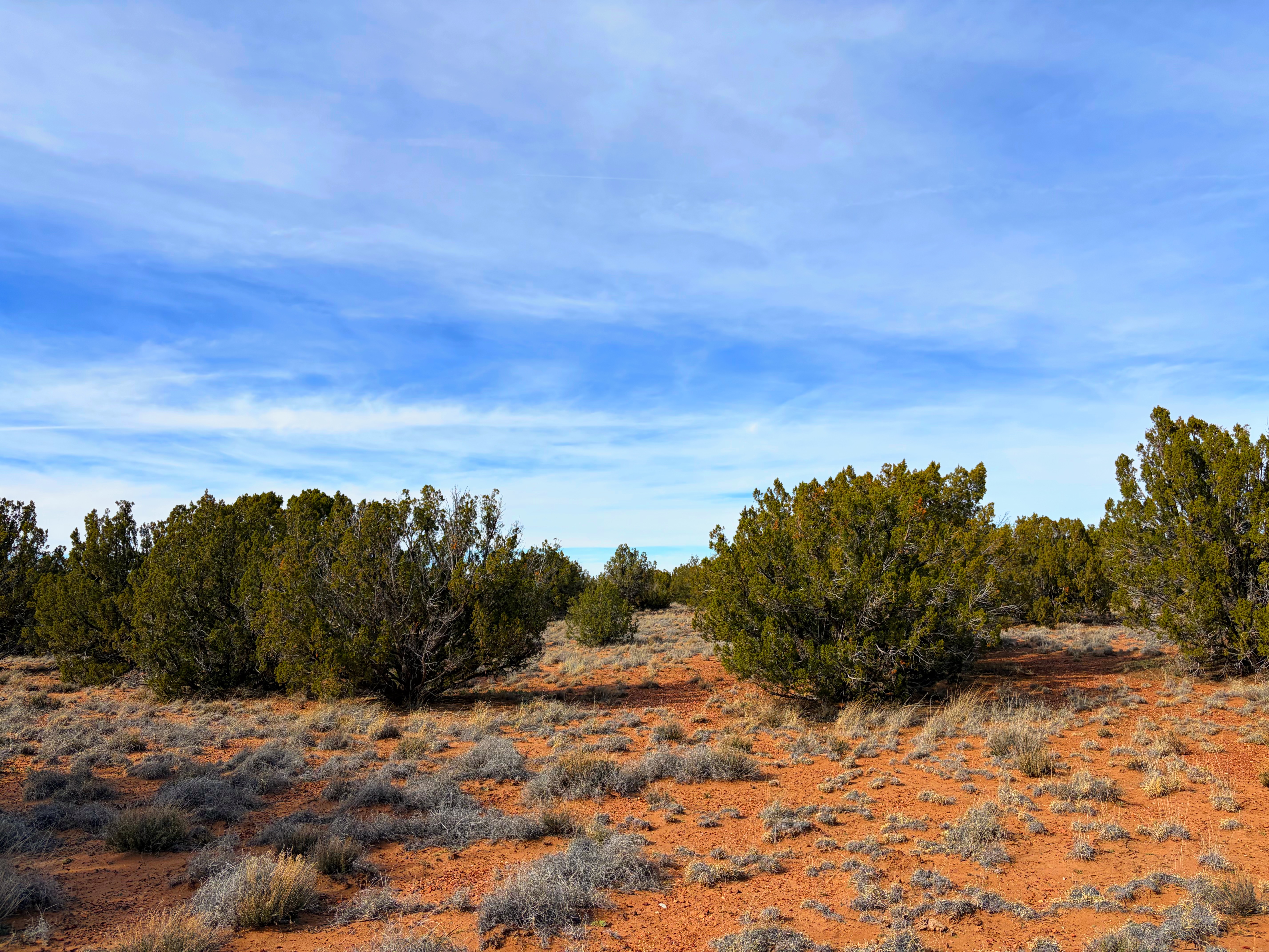 Snowflake AZ — 1.2 acres with financing available photo 19