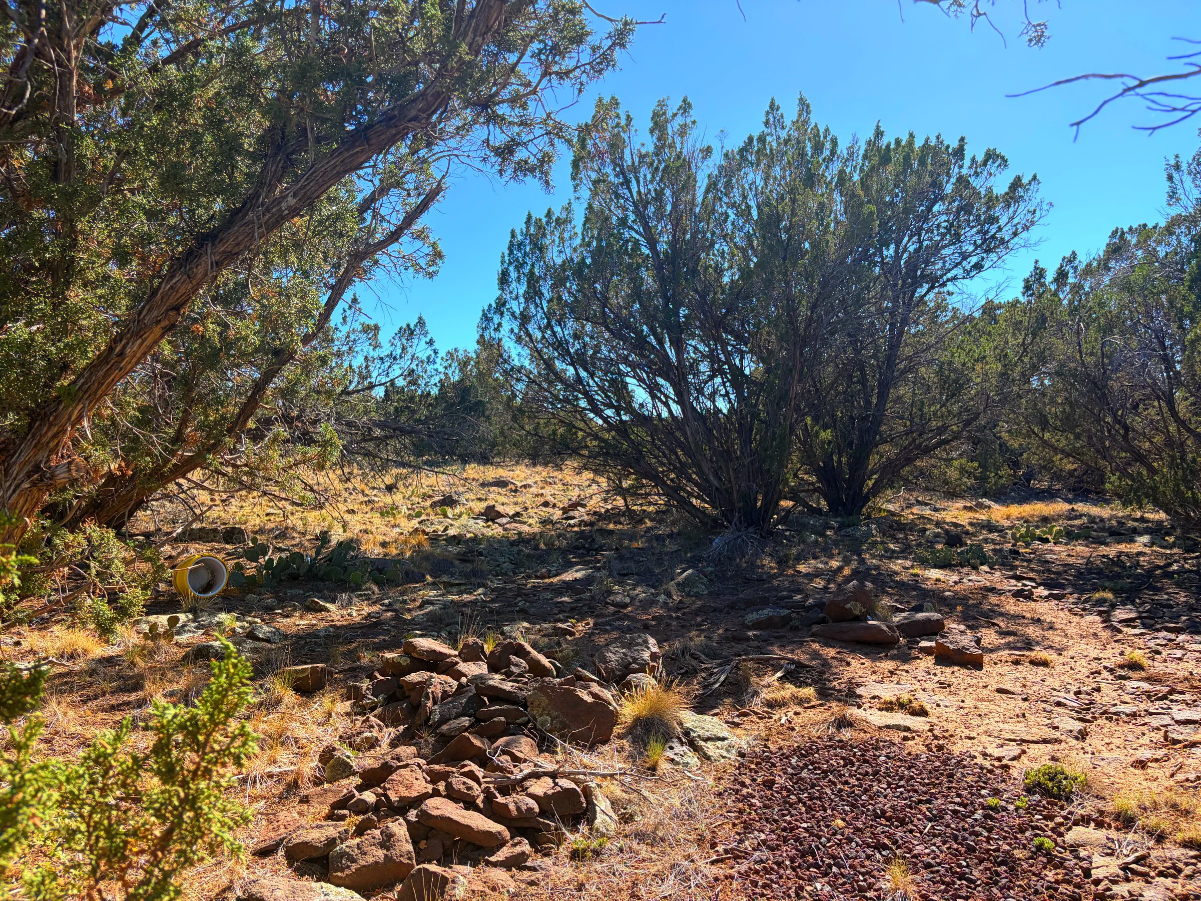 1.2 Acres in Show Low | White Mountains Getaway, Show Low AZ — photo 30