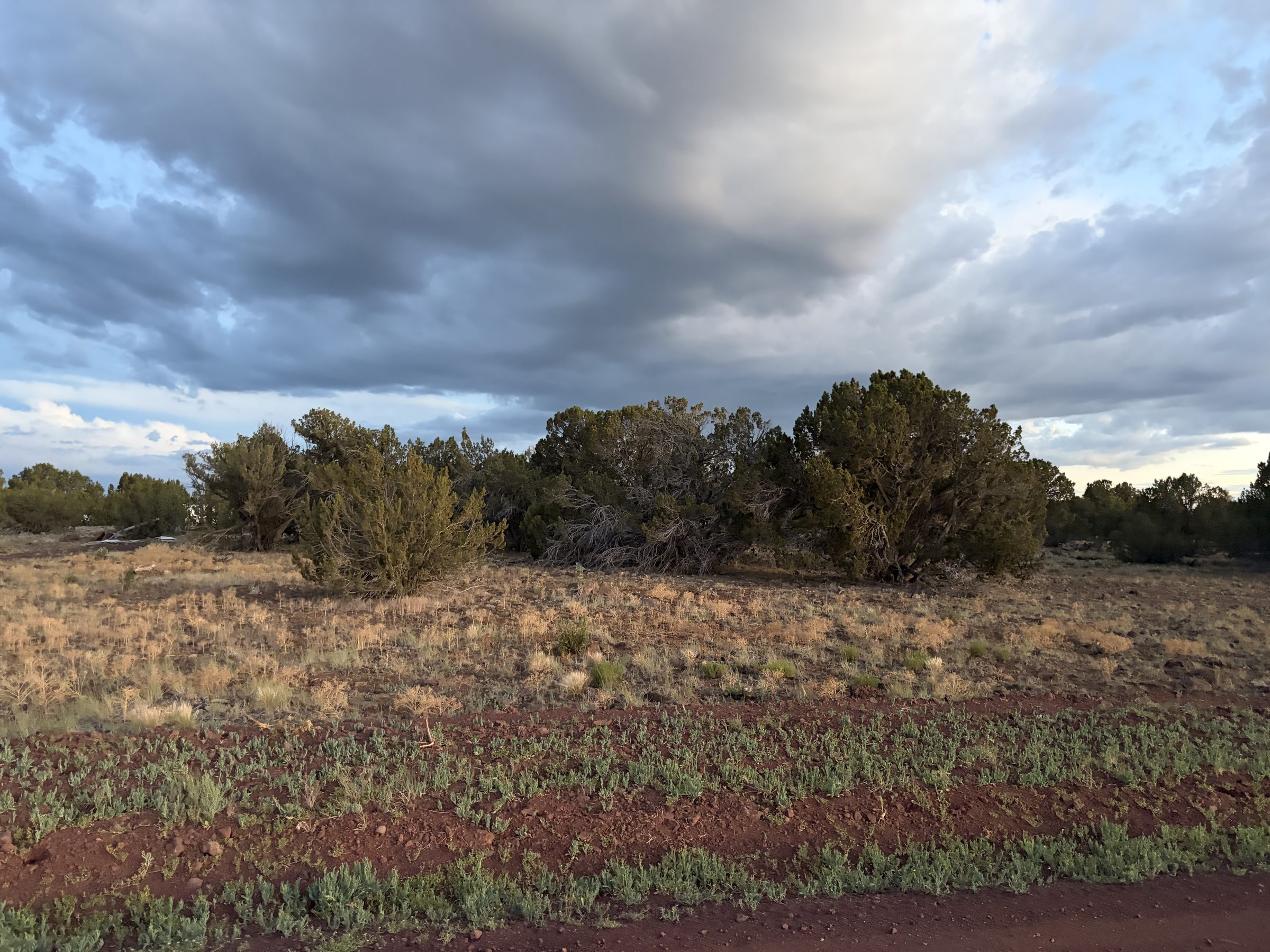 1.2 Acres in Show Low | White Mountains Getaway, Show Low AZ — photo 10