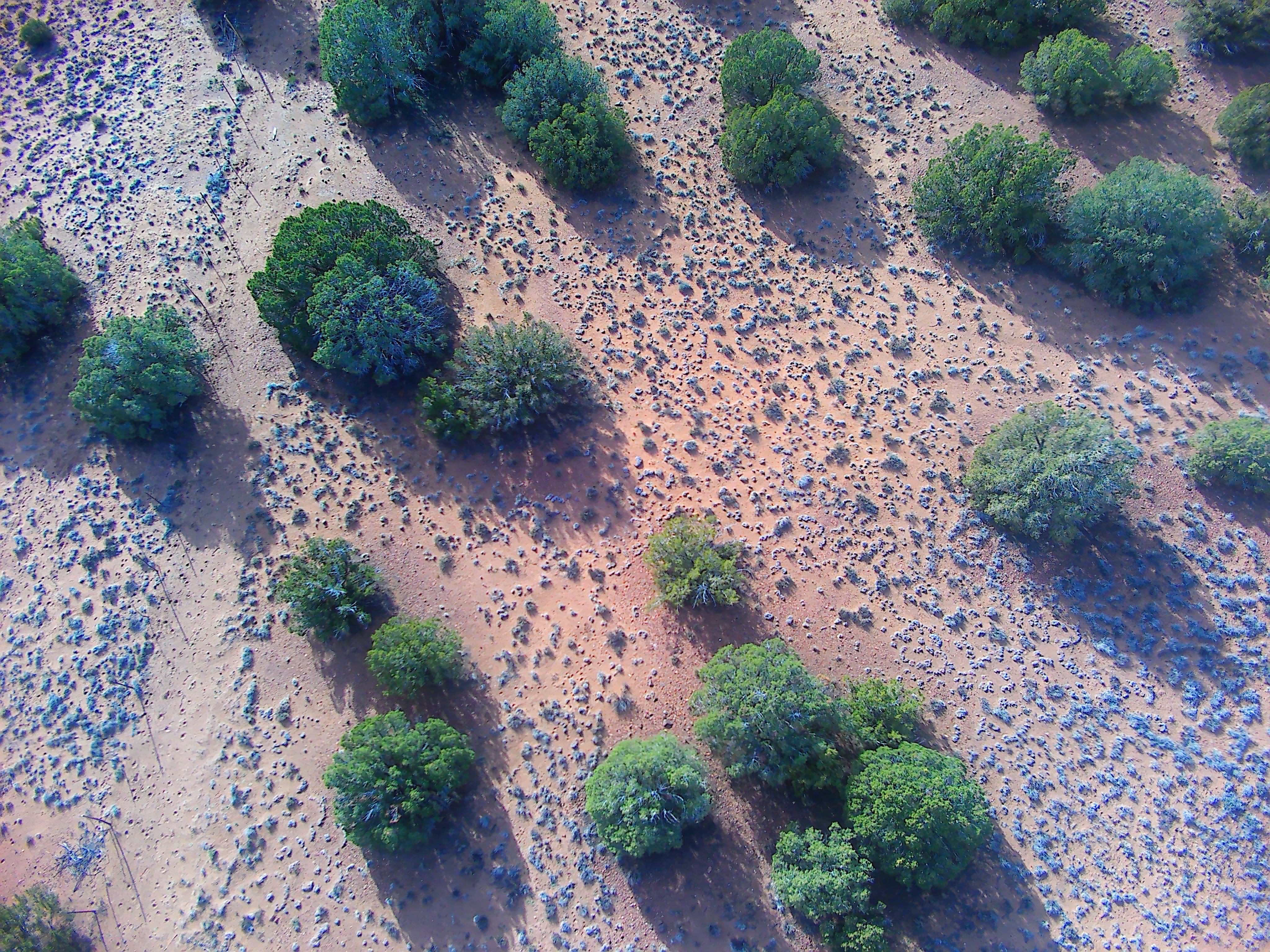 Snowflake AZ — 1.2 acres with financing available photo 14