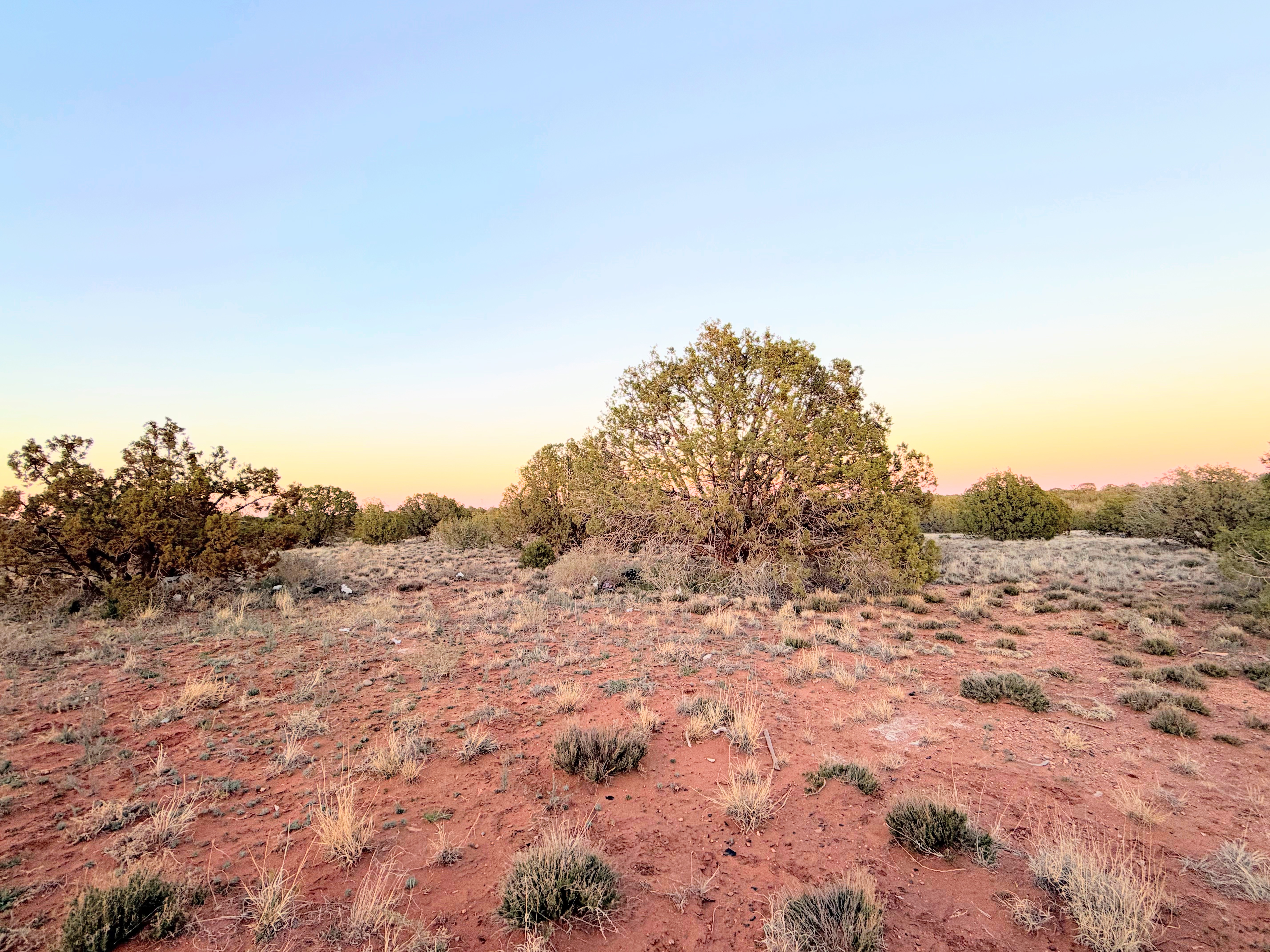 Snowflake AZ — 1.12 acres with financing available photo 17