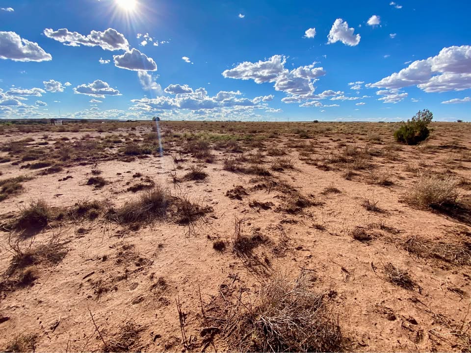 Snowflake AZ — 1.26 acres with financing available photo 9