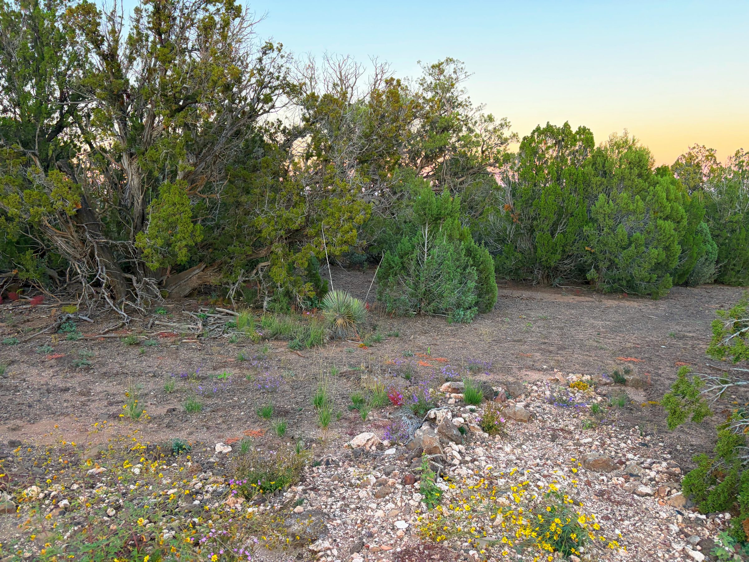 8332 Skyline Dr, Show Low AZ — photo 5