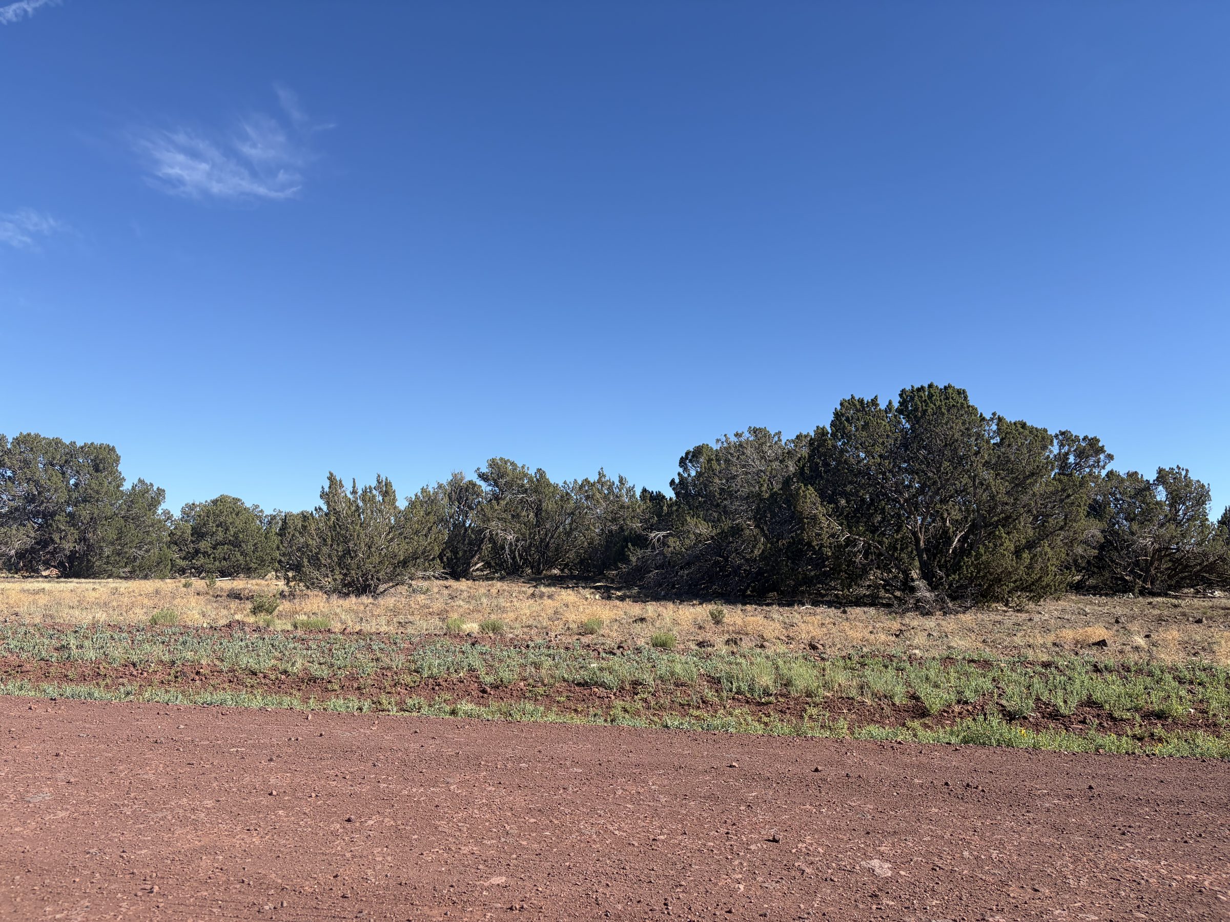 1.2 Acres in Show Low | White Mountains Getaway, Show Low AZ — photo 17