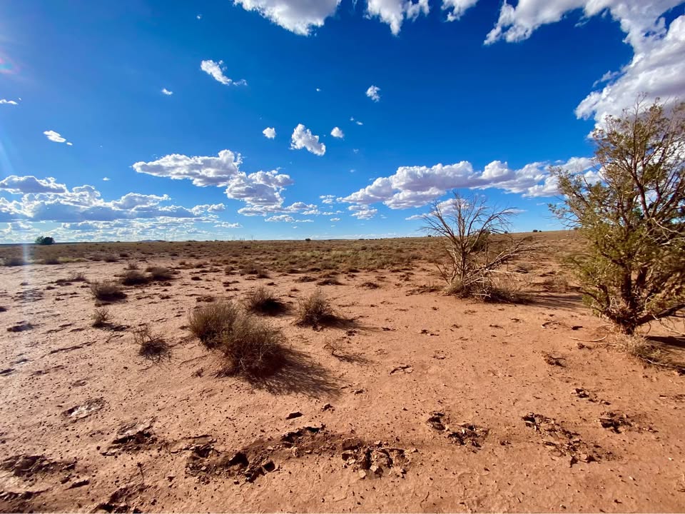 Snowflake AZ — 1.26 acres with financing available photo 8