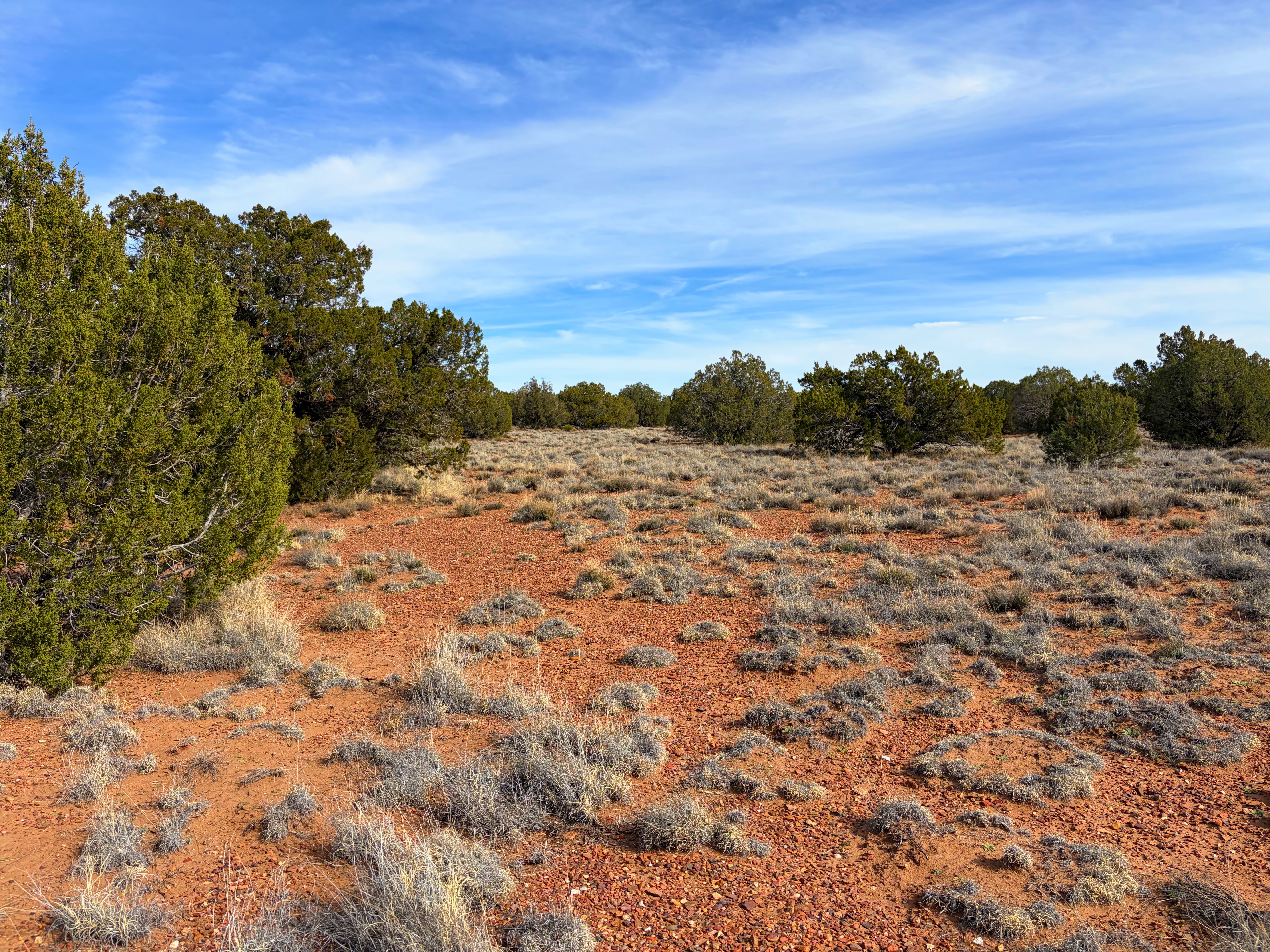 Snowflake AZ — 1.2 acres with financing available photo 18