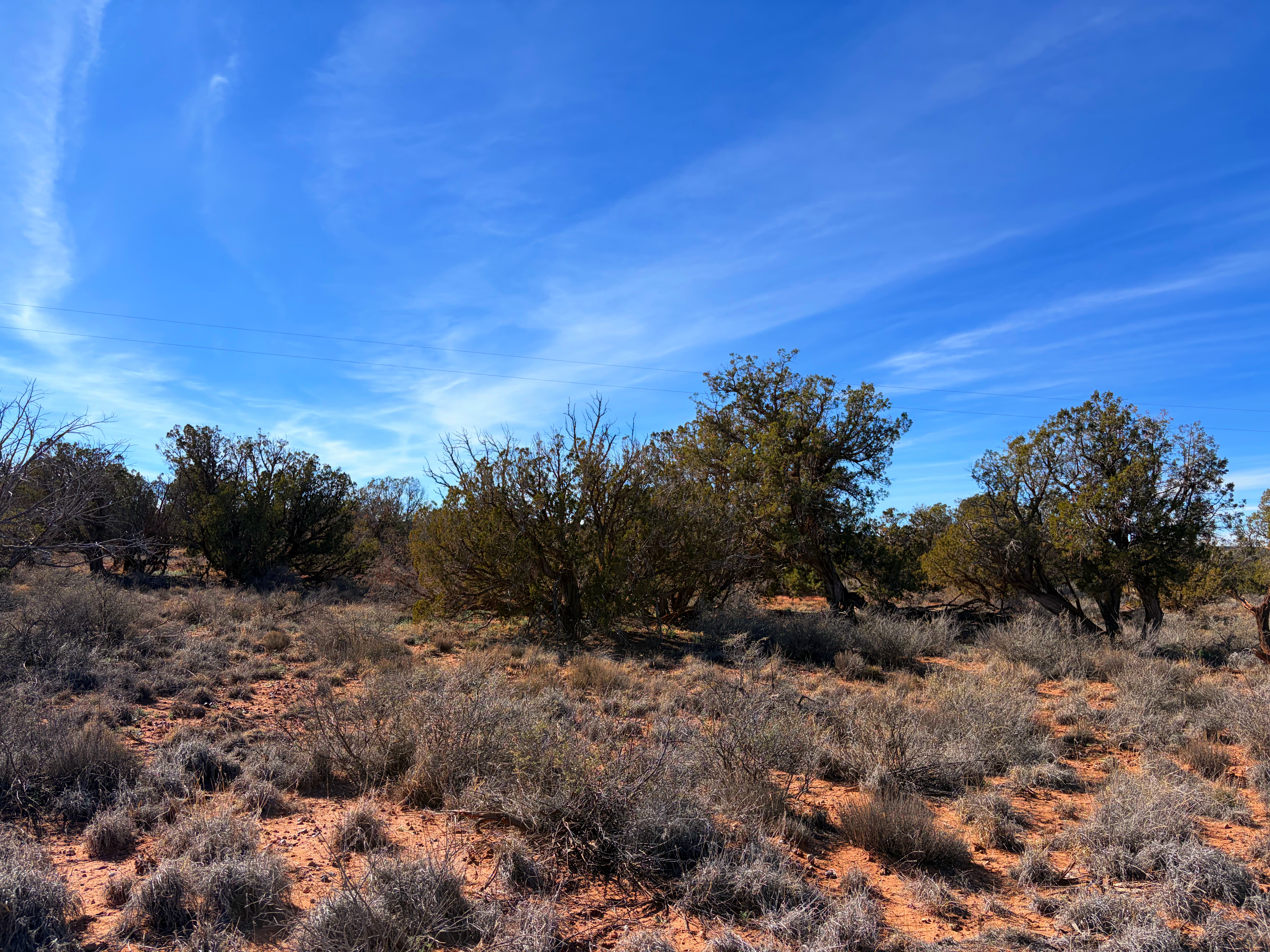 Snowflake AZ — 1.18 acres with financing available photo 11