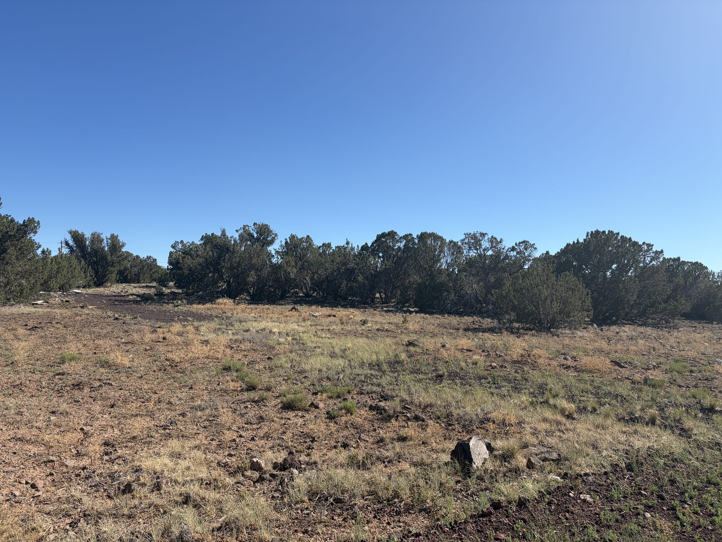 1.2 Acres in Show Low | White Mountains Getaway, Show Low AZ — photo 22