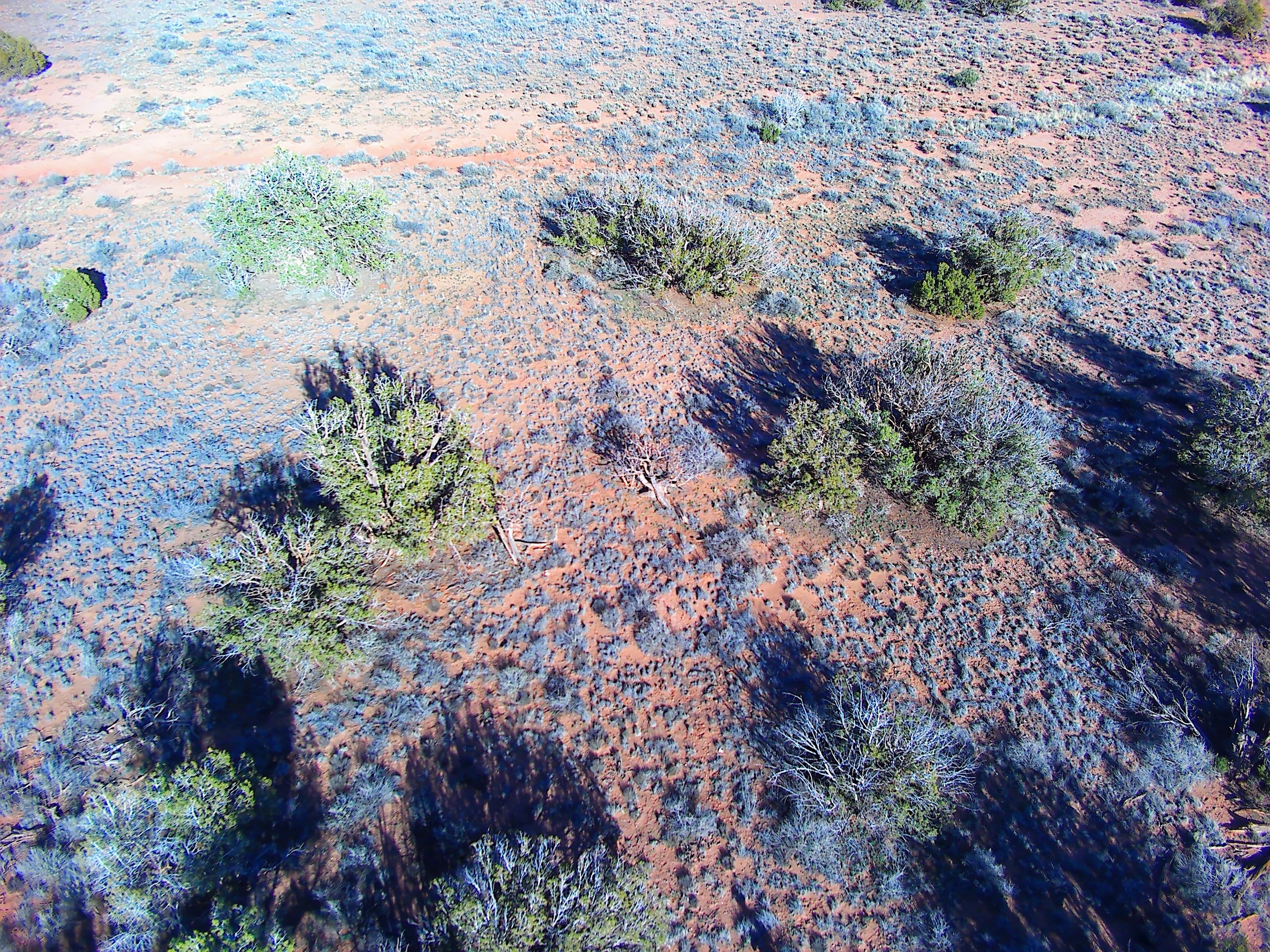 Snowflake AZ — 1.18 acres with financing available photo 3