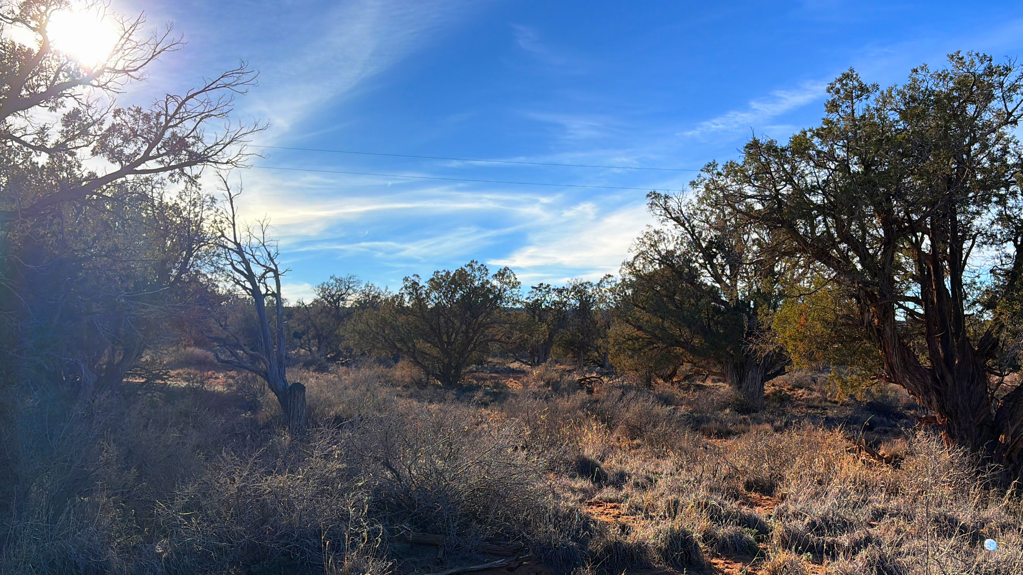 Snowflake AZ — 1.18 acres with financing available photo 6