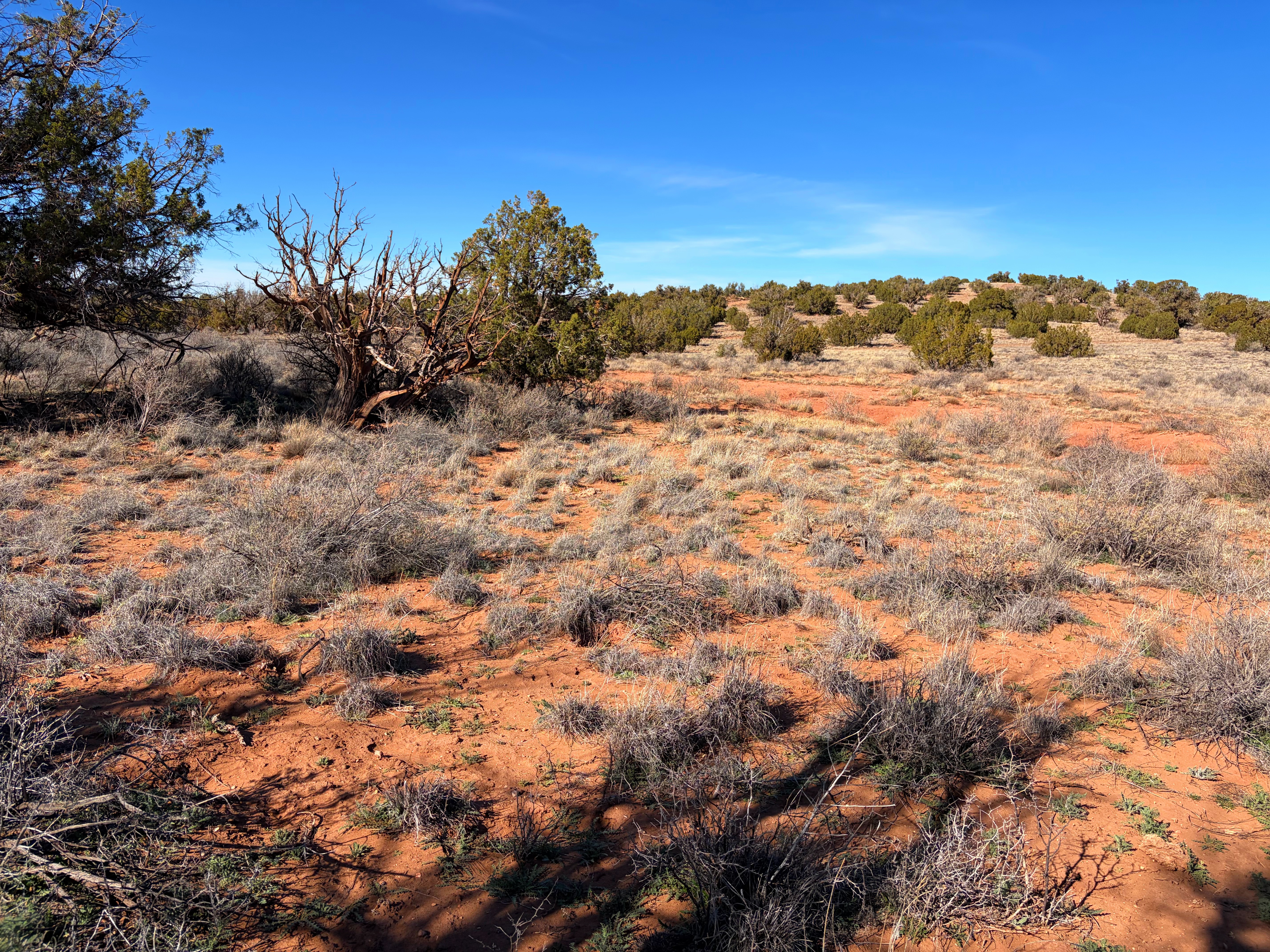 Snowflake AZ — 1.18 acres with financing available photo 15