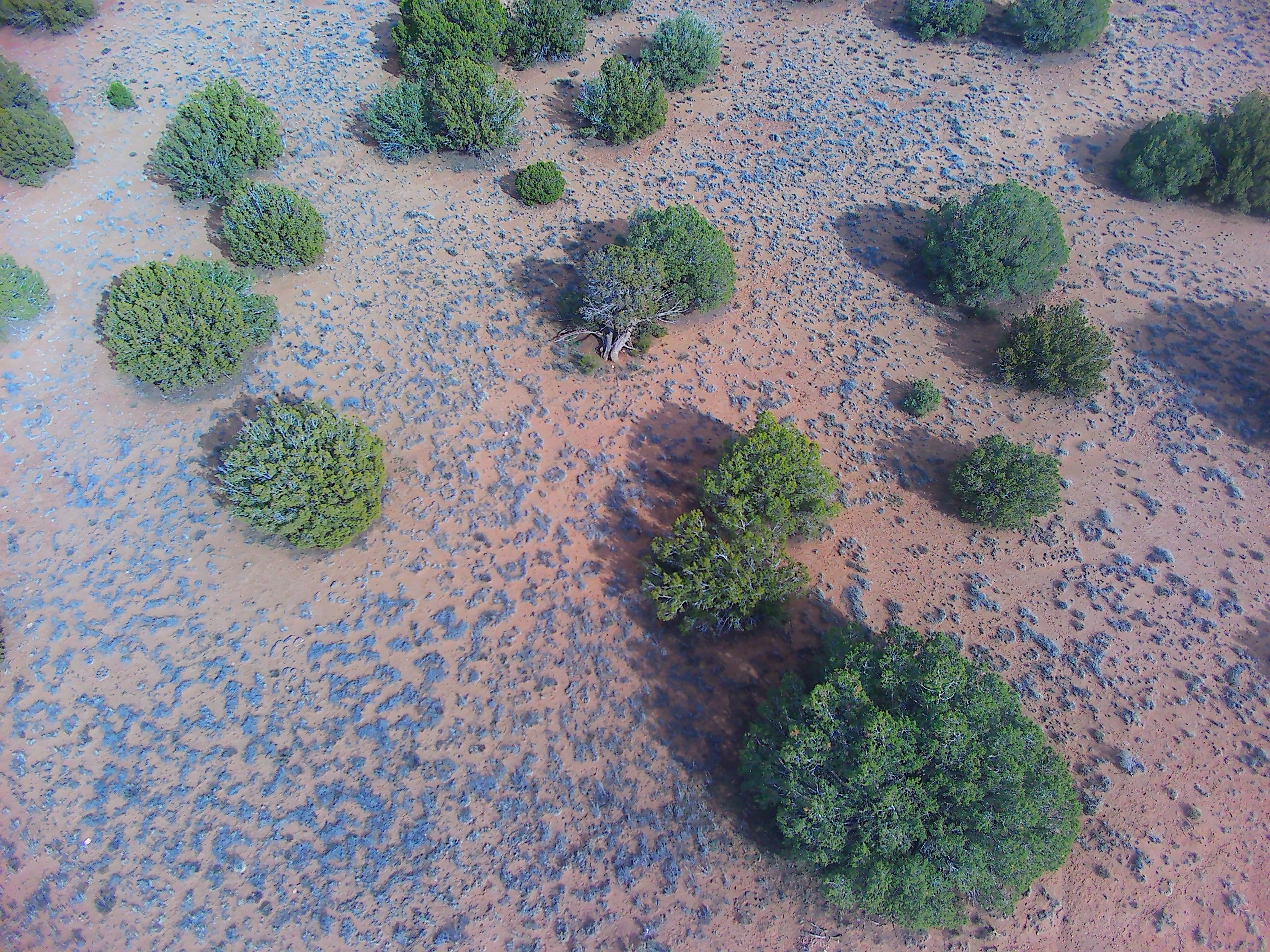 Snowflake AZ — 1.2 acres with financing available photo 2