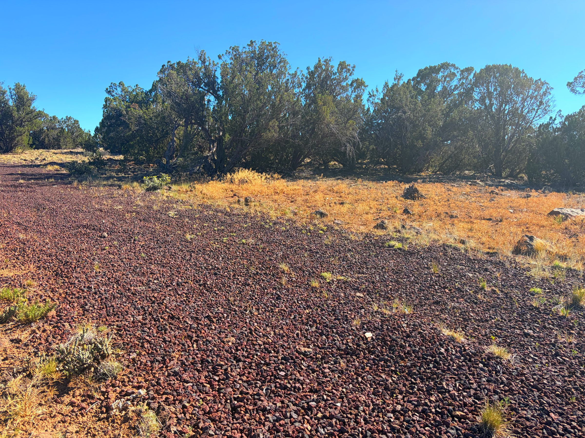 1.2 Acres in Show Low | White Mountains Getaway, Show Low AZ — photo 24