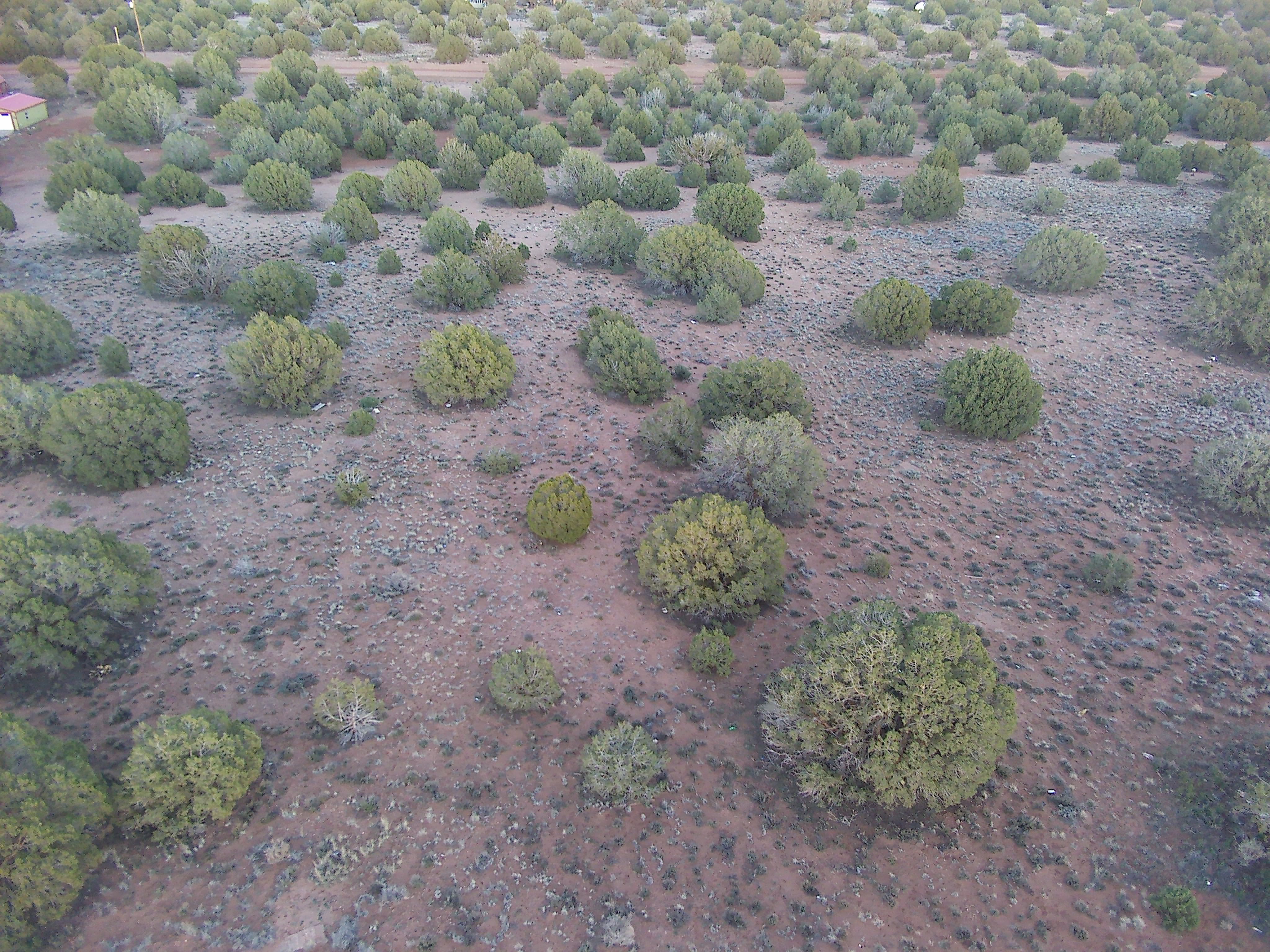 Snowflake AZ — 1.12 acres with financing available photo 5