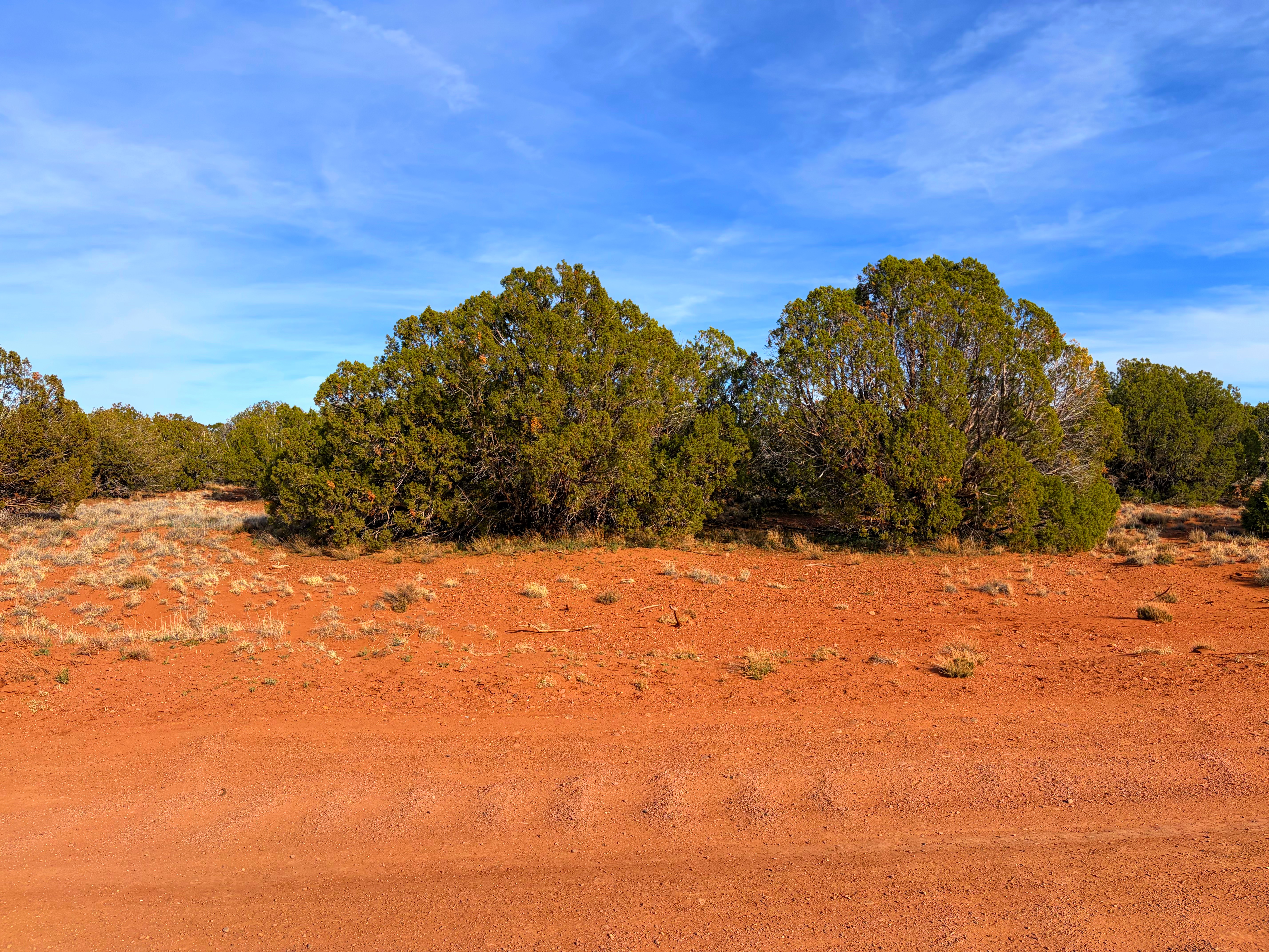 Snowflake AZ — 1.2 acres with financing available photo 5