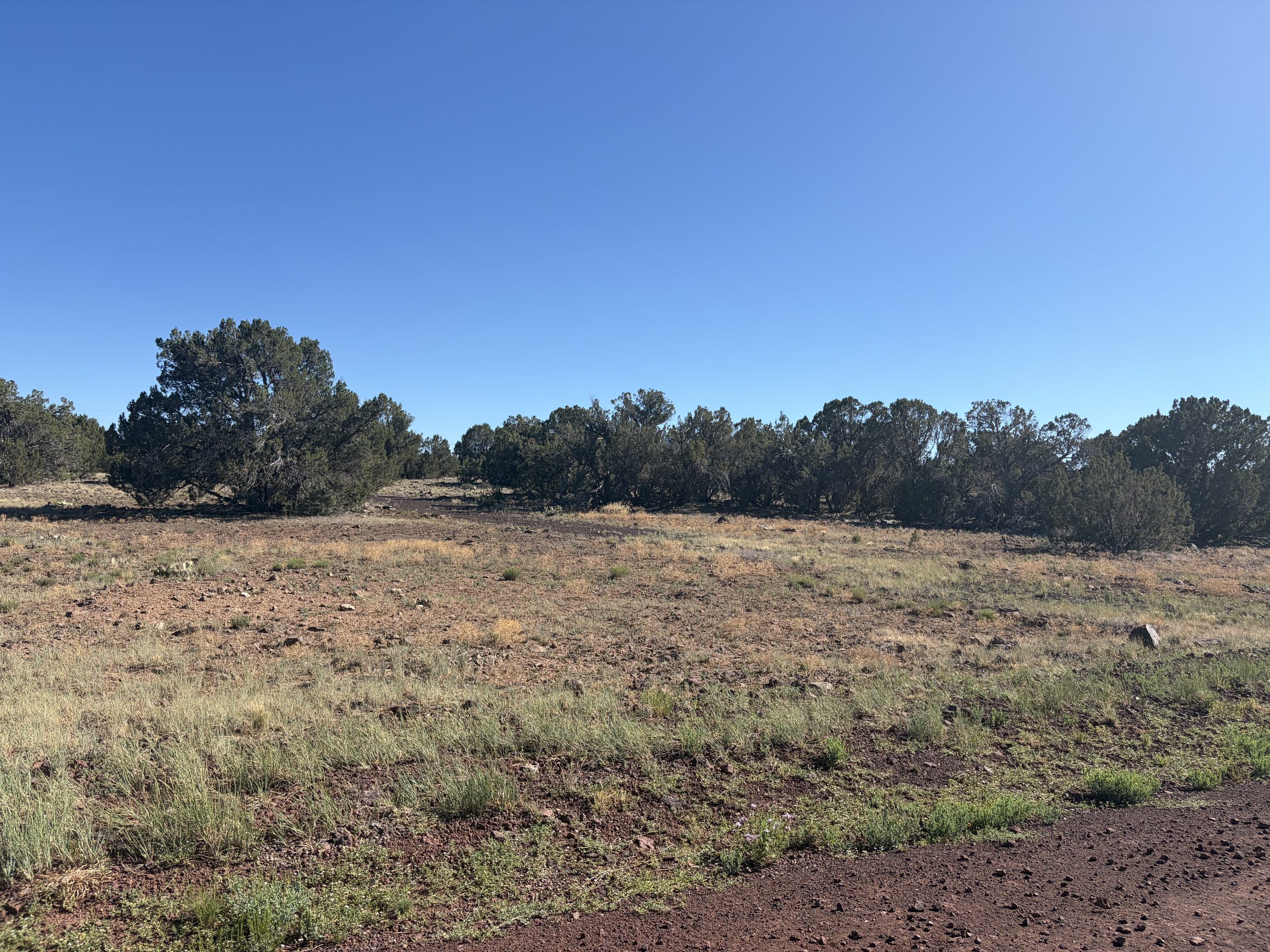 1.2 Acres in Show Low | White Mountains Getaway, Show Low AZ — photo 18