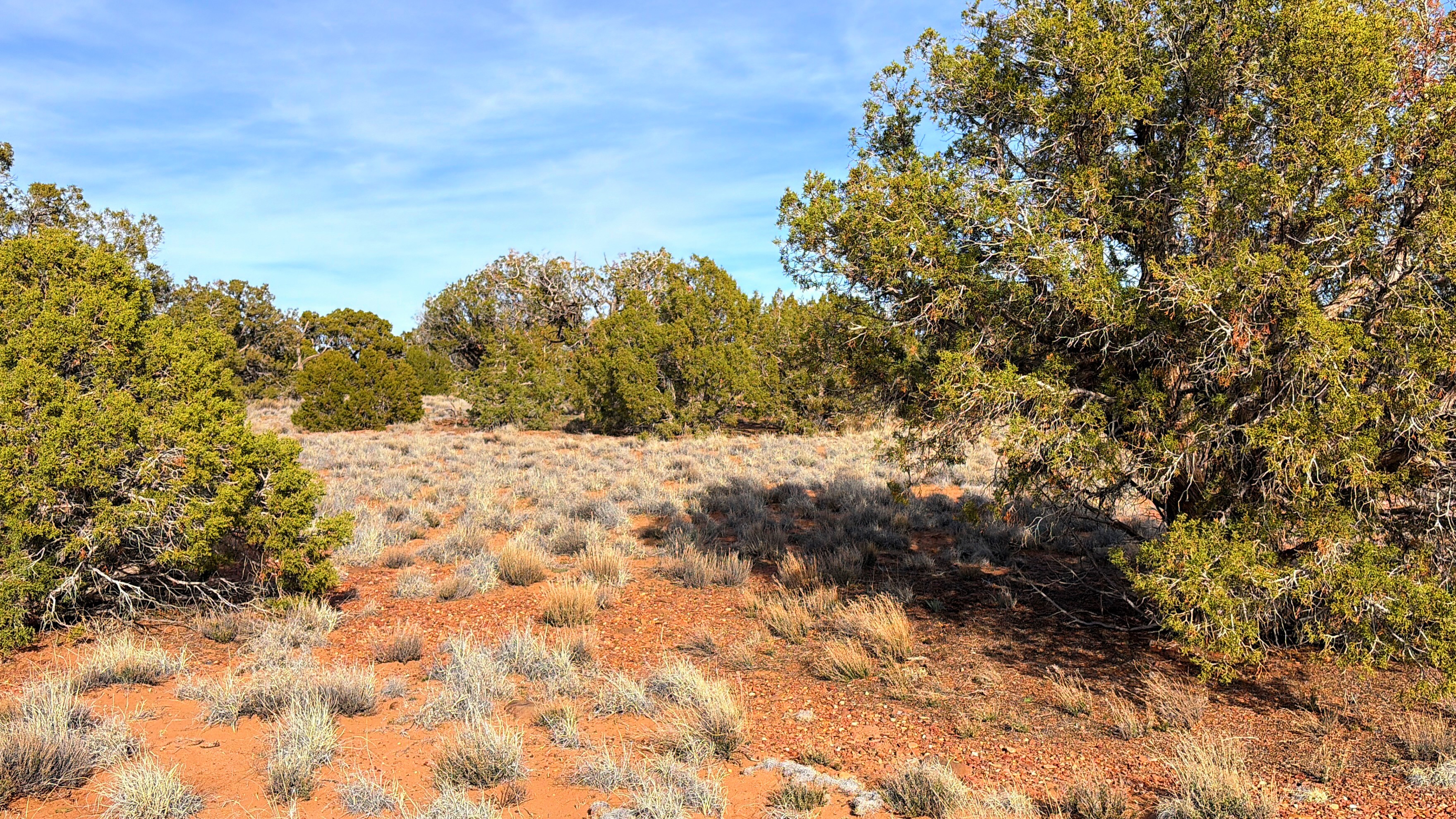 Snowflake AZ — 1.2 acres with financing available photo 11