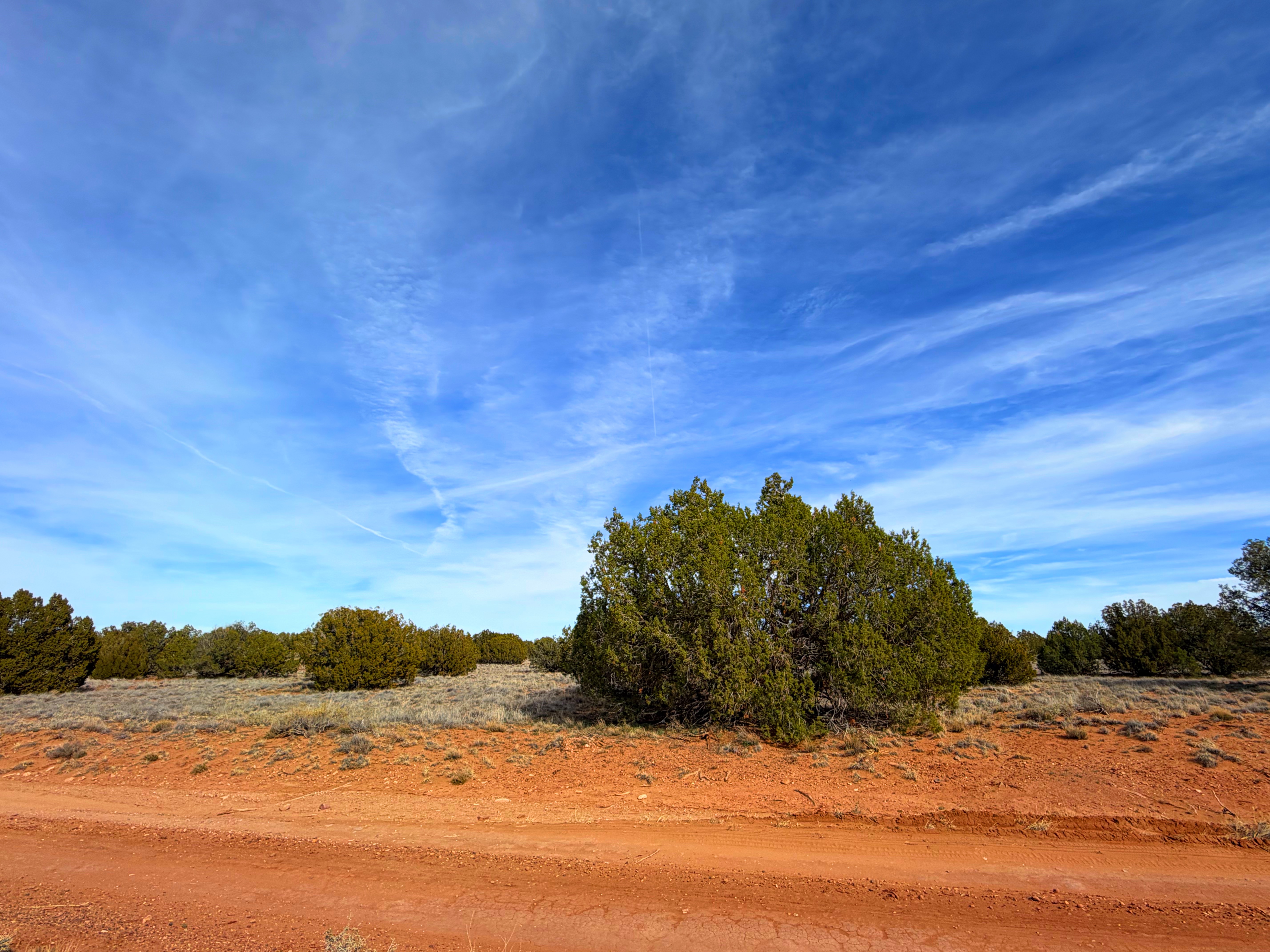 Snowflake AZ — 1.2 acres with financing available photo 26