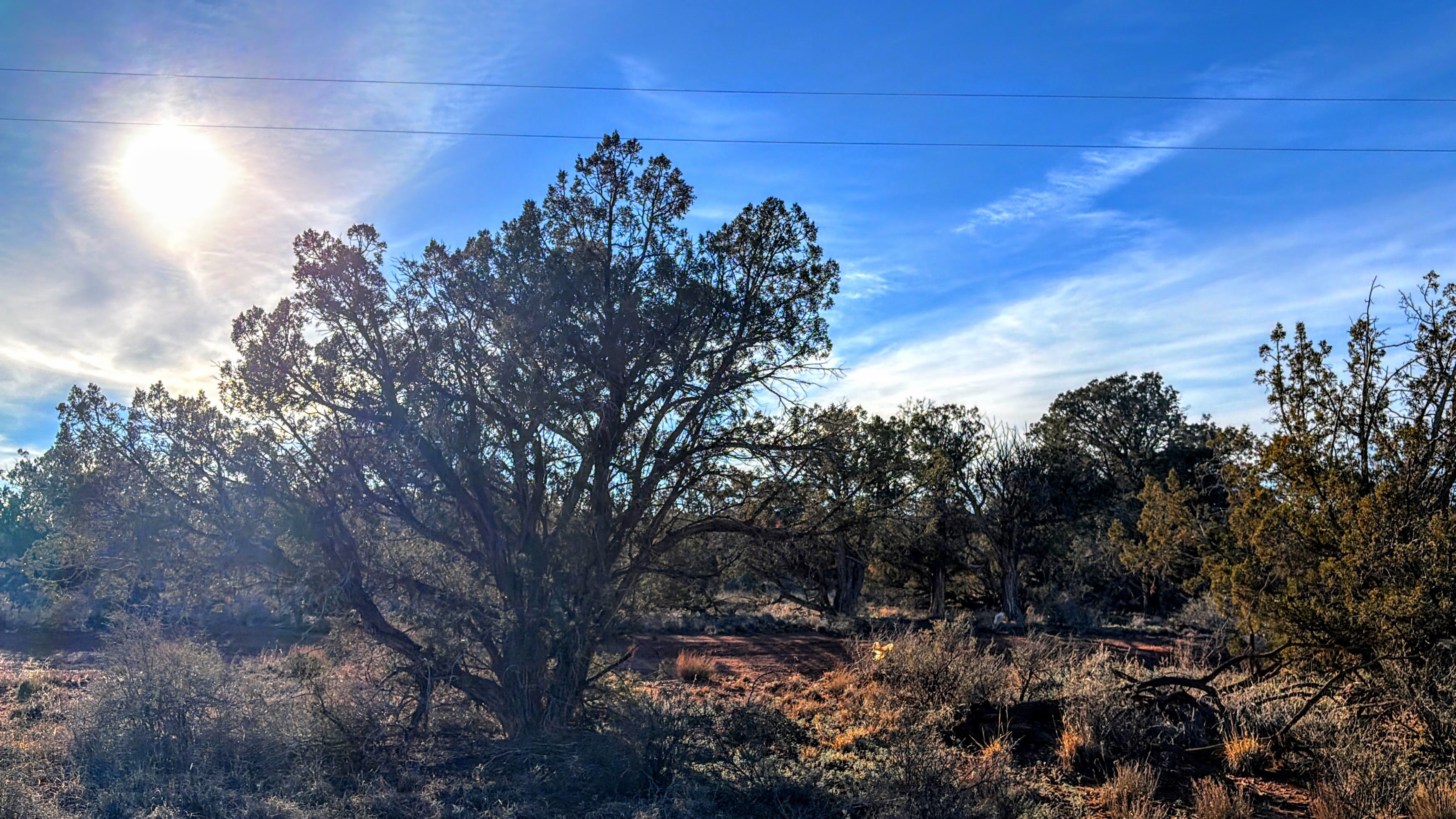 Snowflake AZ — 1.18 acres with financing available photo 12