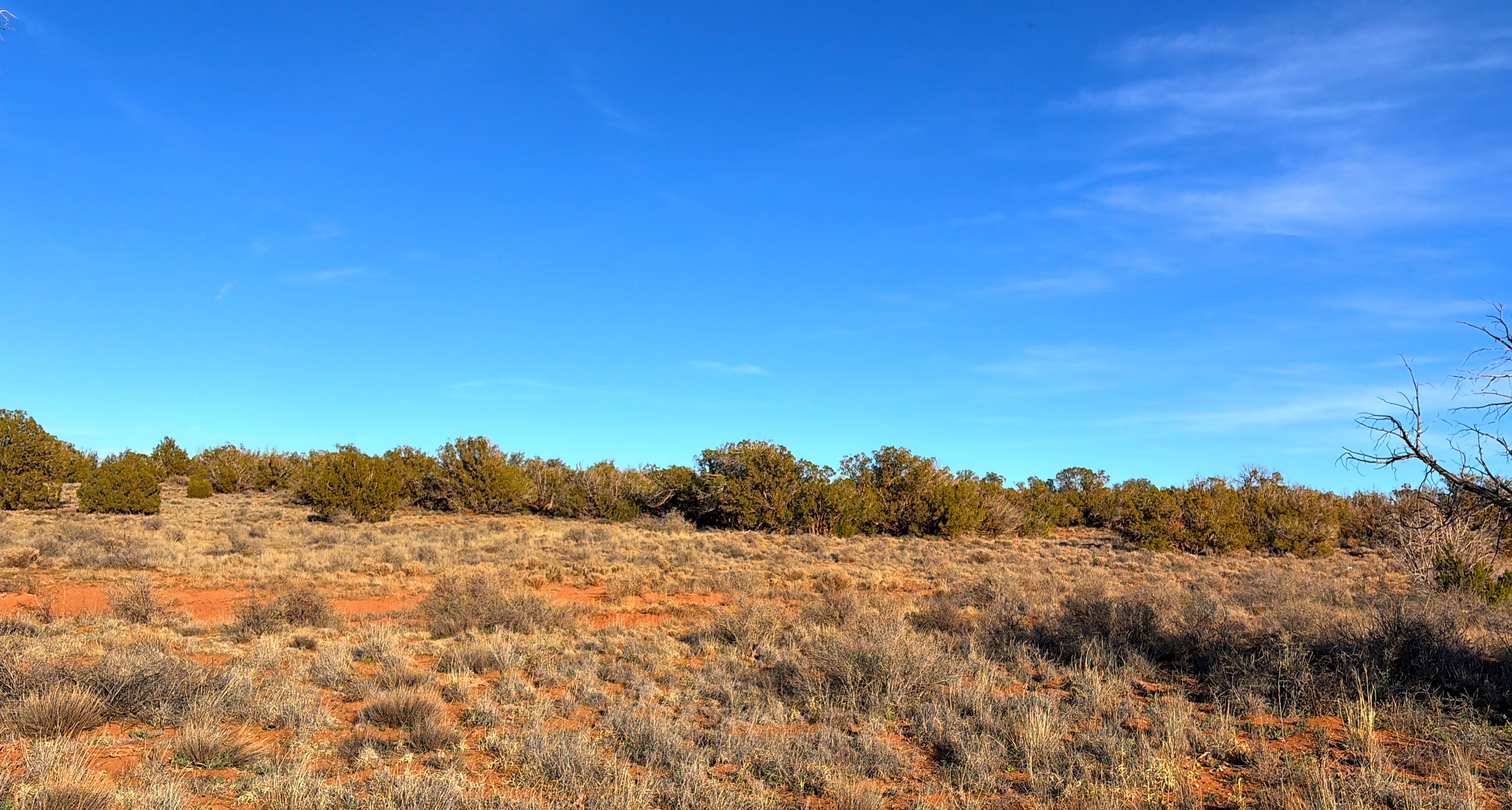 Snowflake AZ — 1.18 acres with financing available photo 8